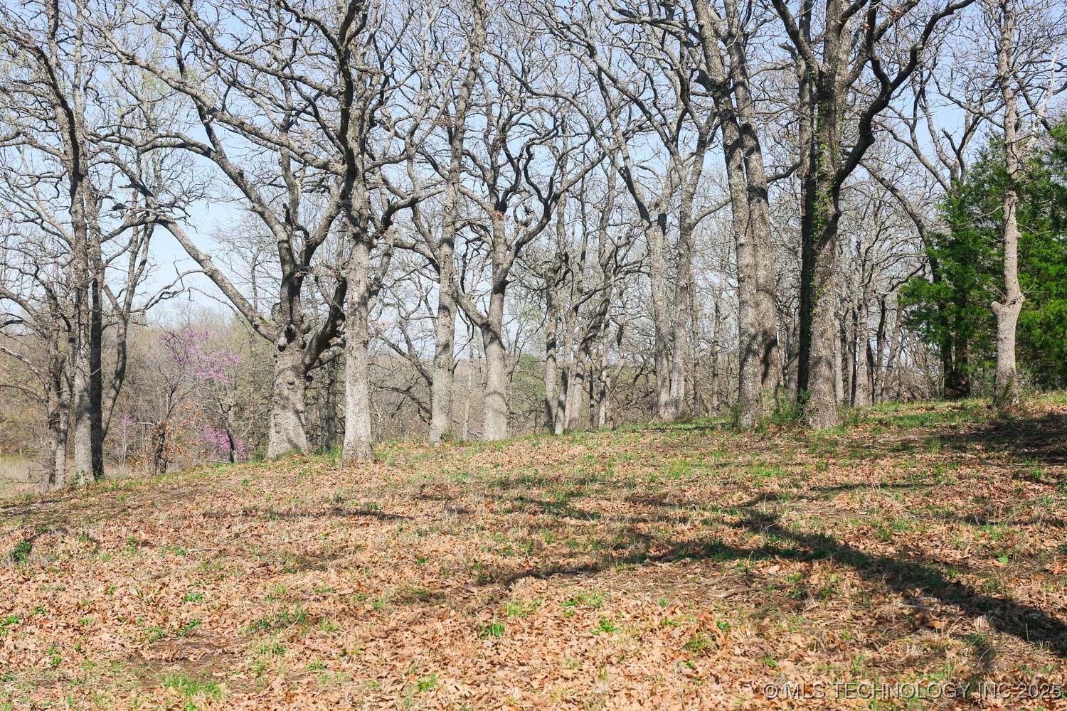 397516 W 2700 Road Property Photo 38