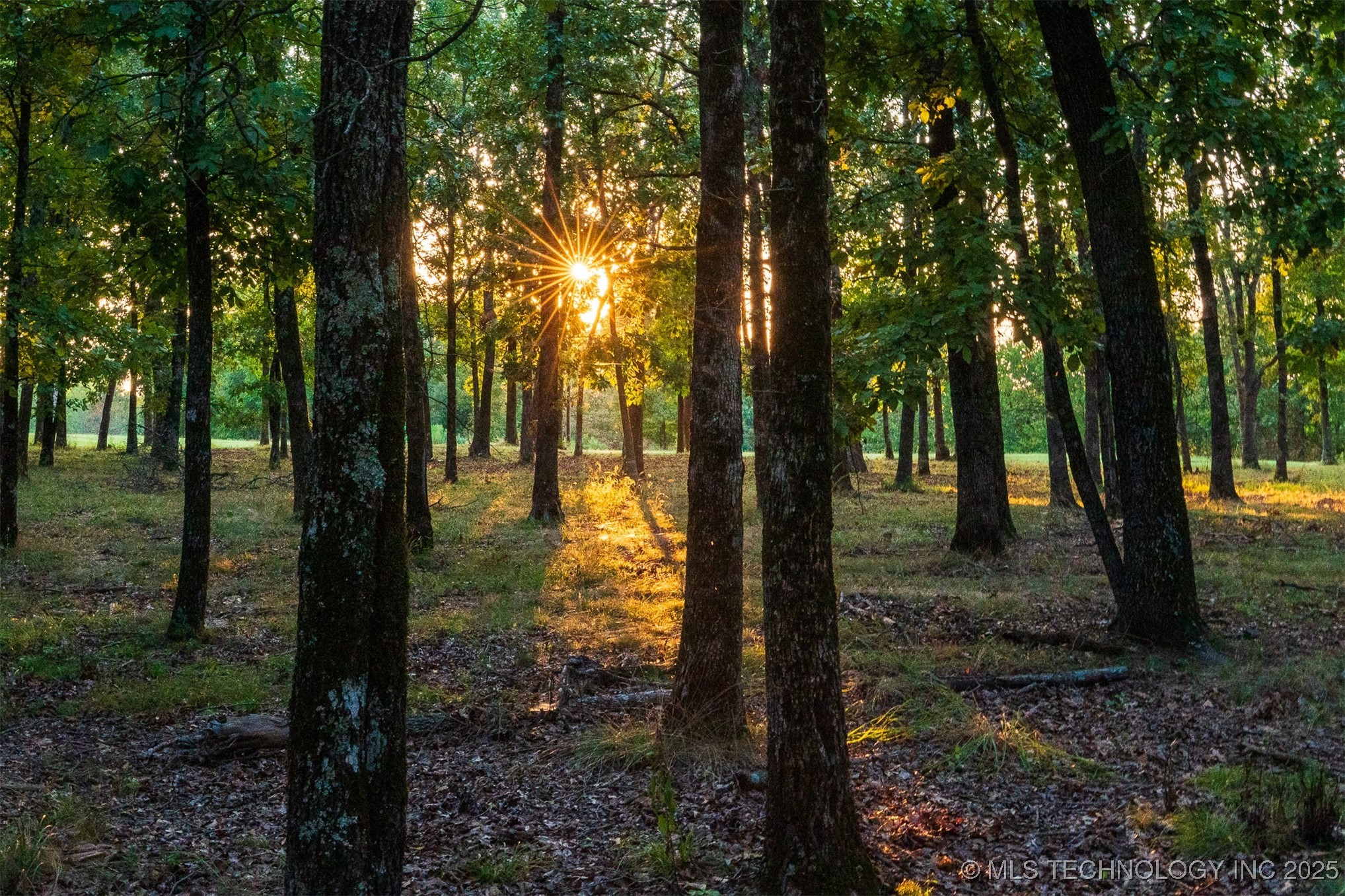 27245 S 565 Road Property Photo 15