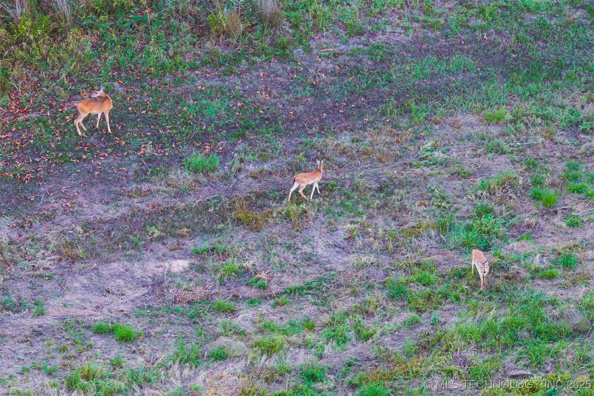 27245 S 565 Road Property Photo 79