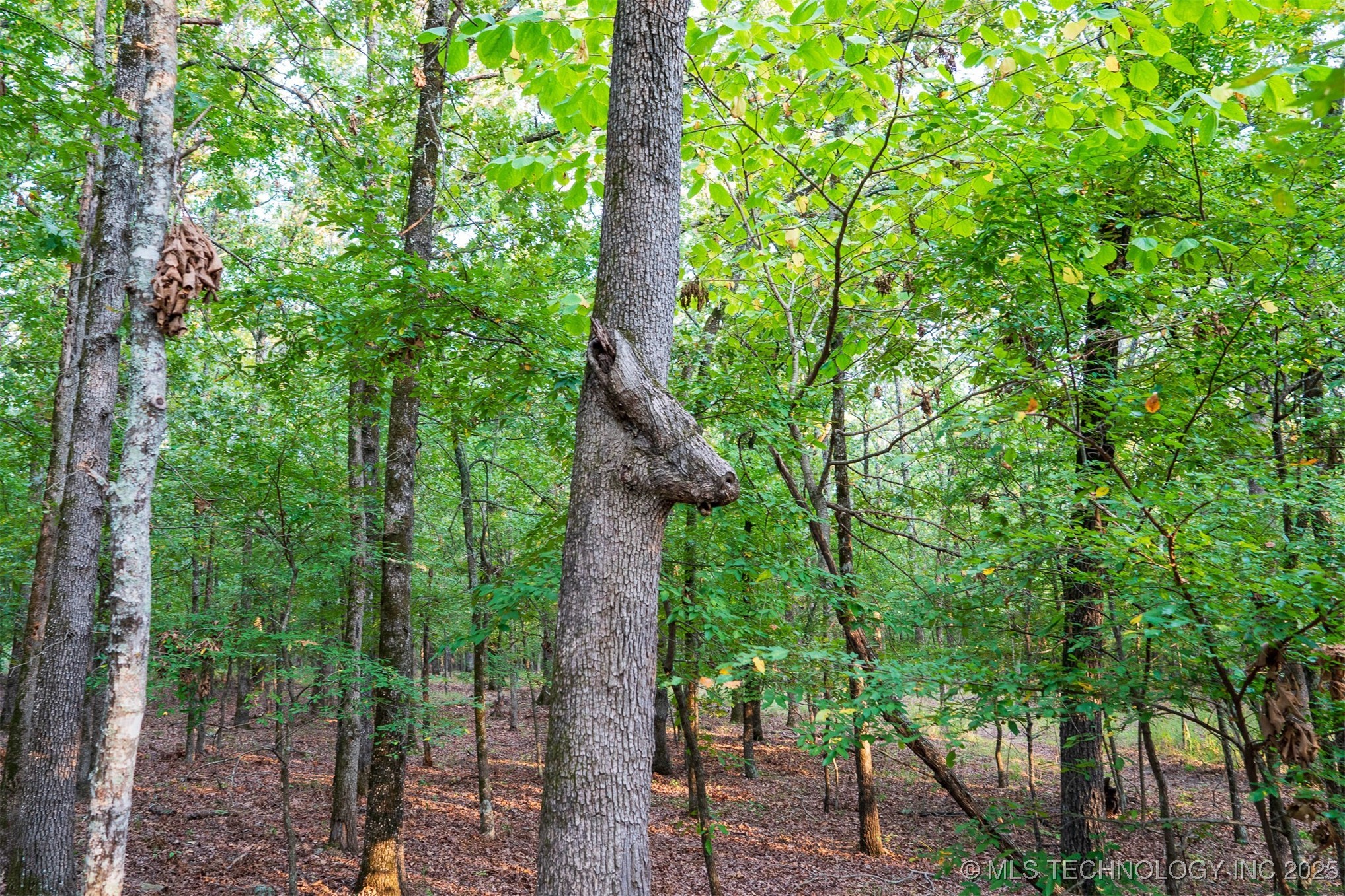 27245 S 565 Road Property Photo 82