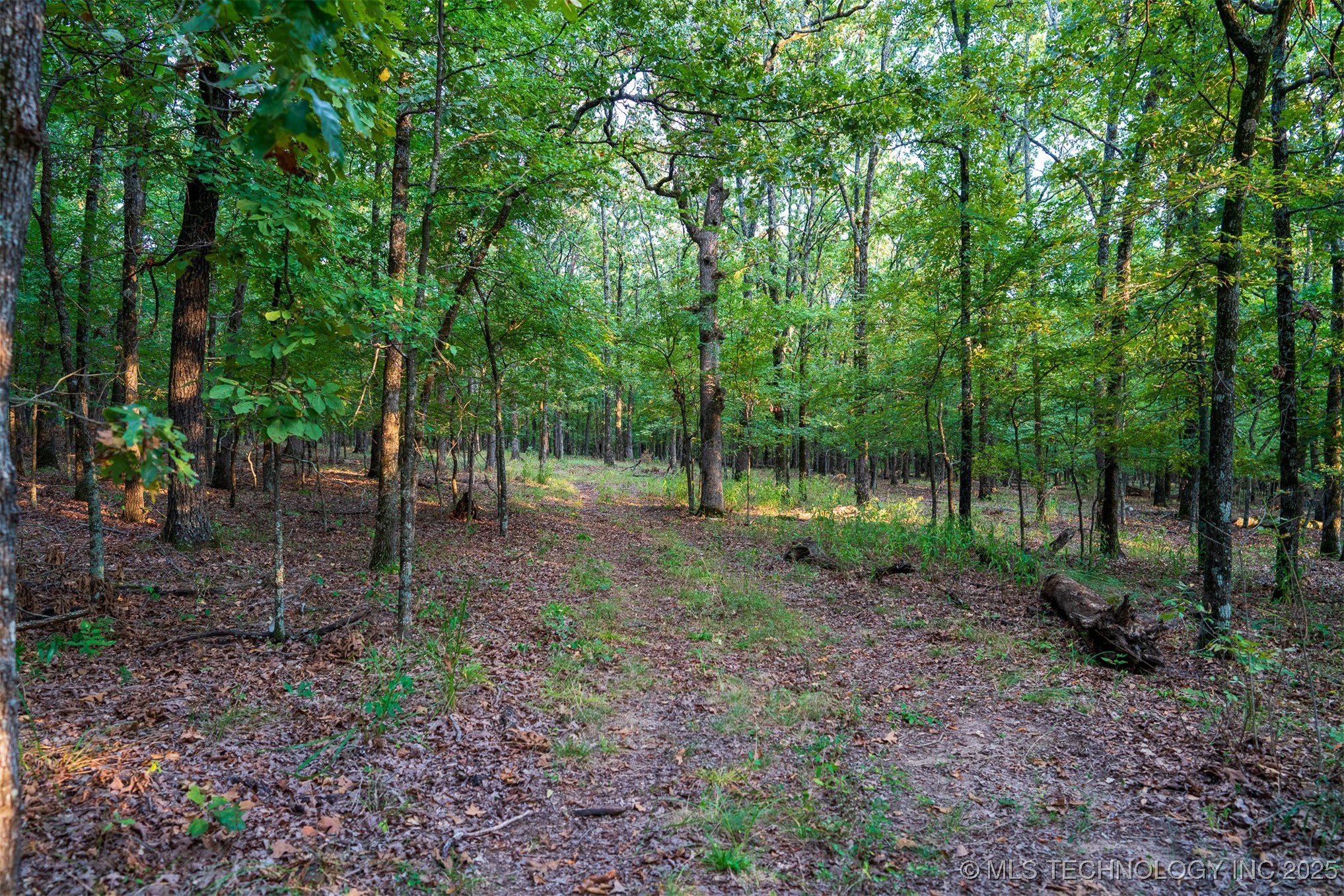 27245 S 565 Road Property Photo 95