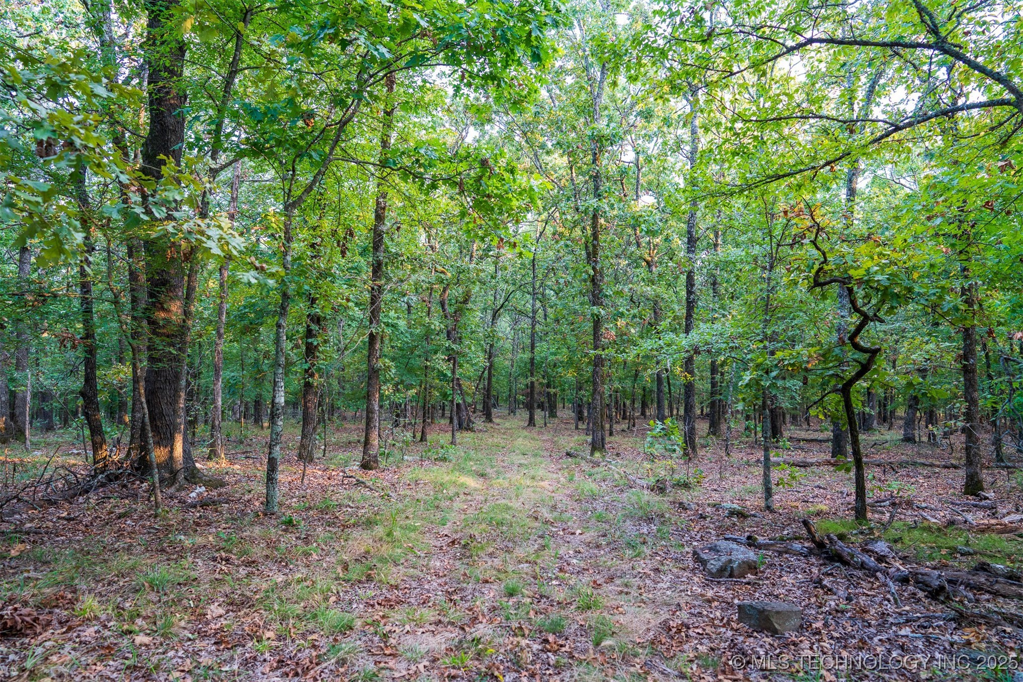 27245 S 565 Road Property Photo 96