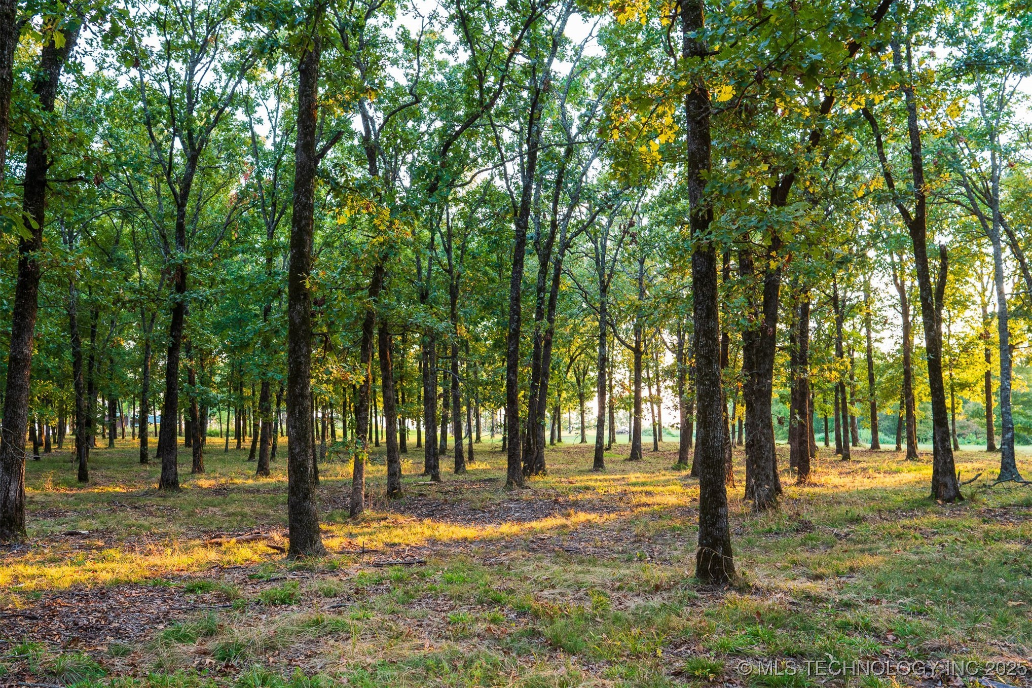 27245 S 565 Road Property Photo 99