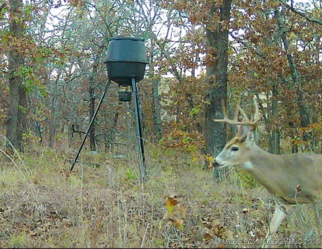 County Road 1170 Property Photo 2