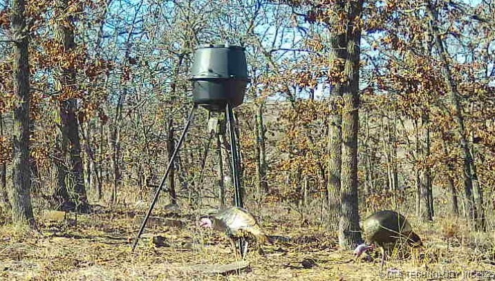 County Road 1170 Property Photo 3