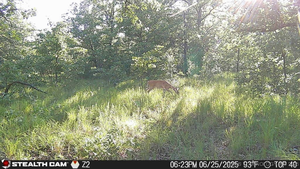 County Road 1170 Property Photo 4