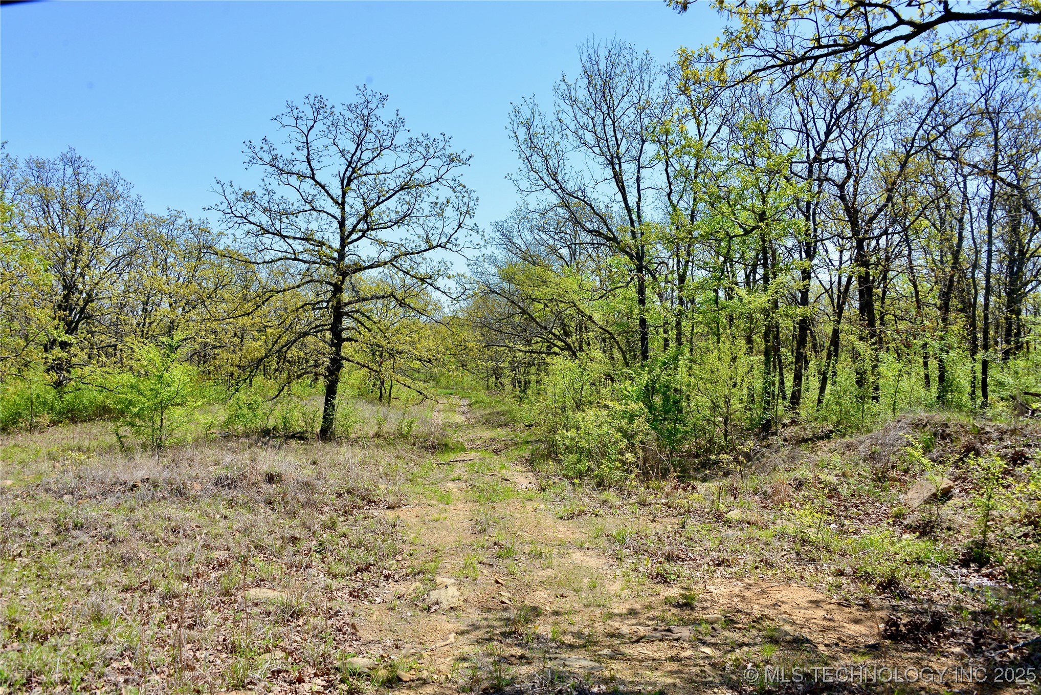 County Road 1170 Property Photo 6