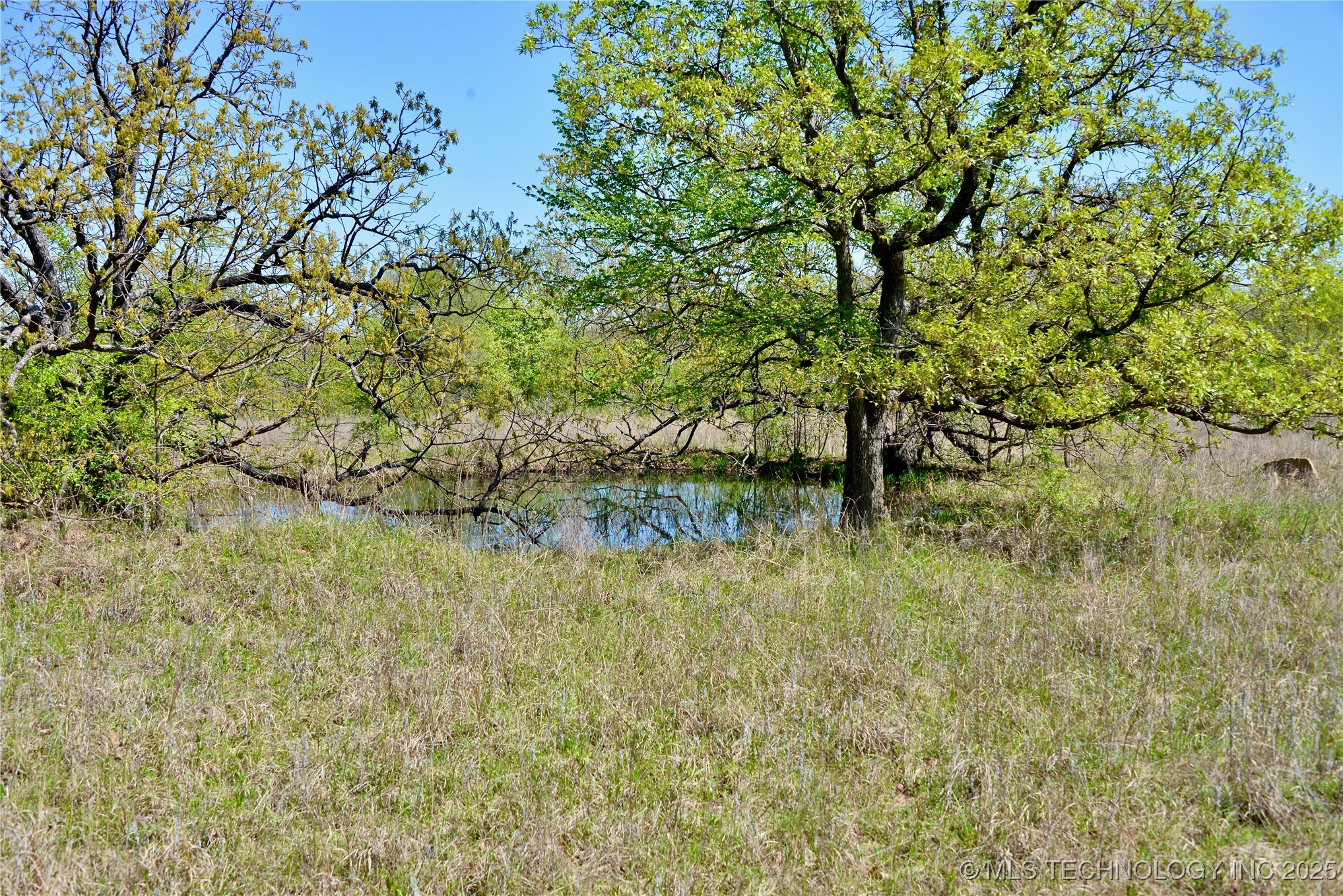 County Road 1170 Property Photo 7
