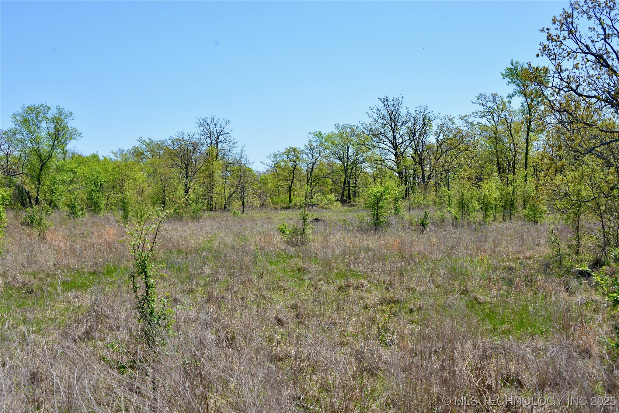 County Road 1170 Property Photo 8
