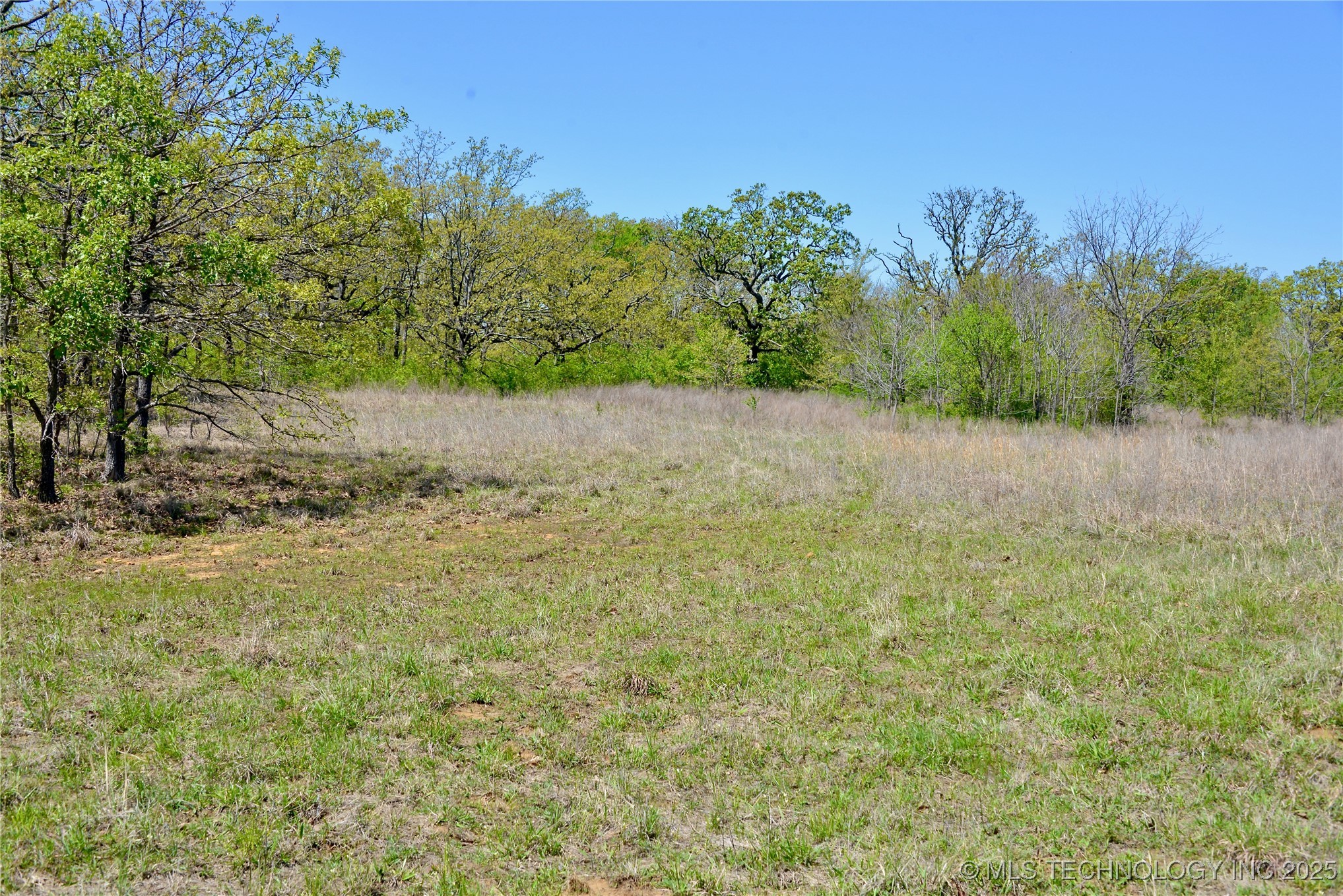County Road 1170 Property Photo 10