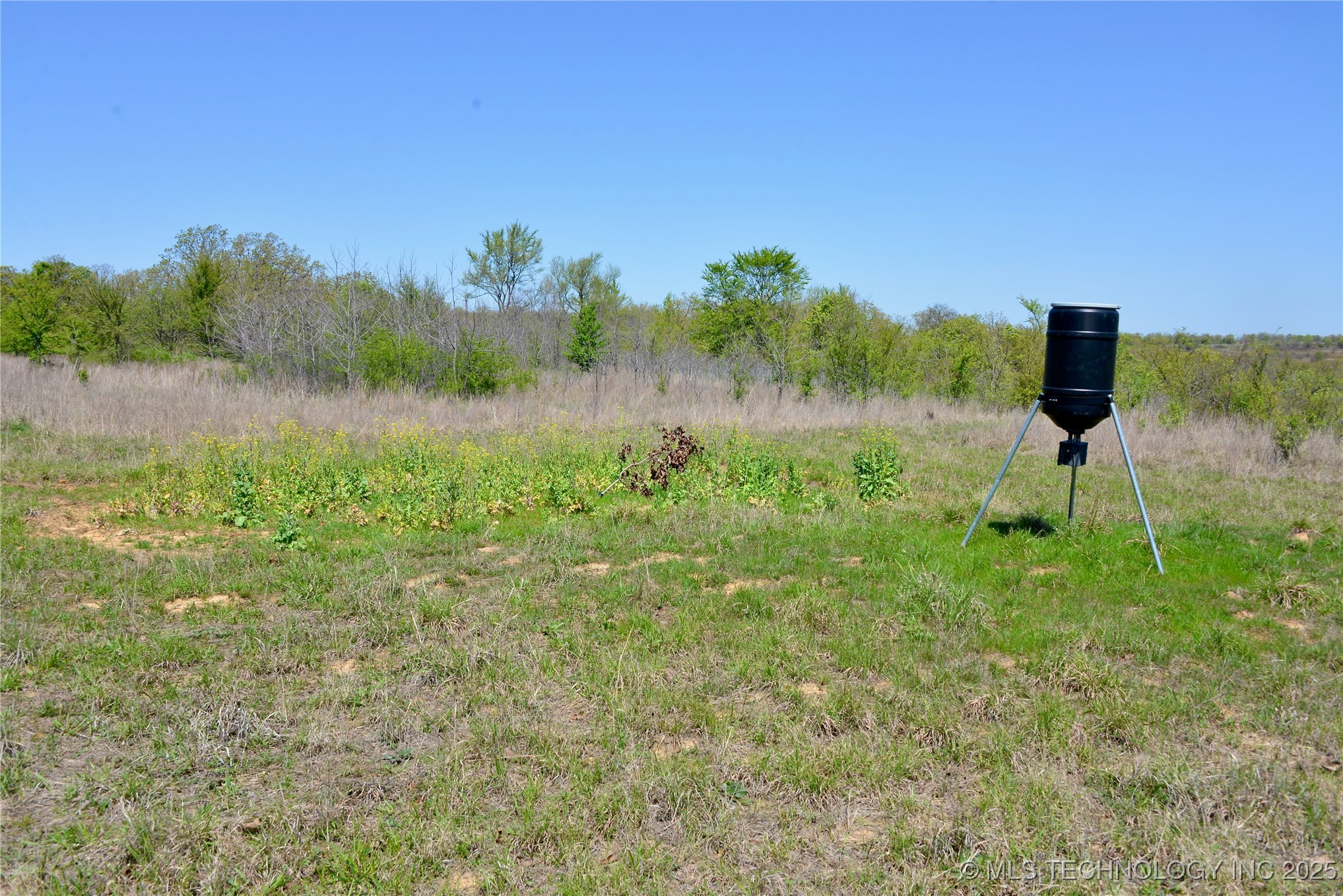 County Road 1170 Property Photo 11