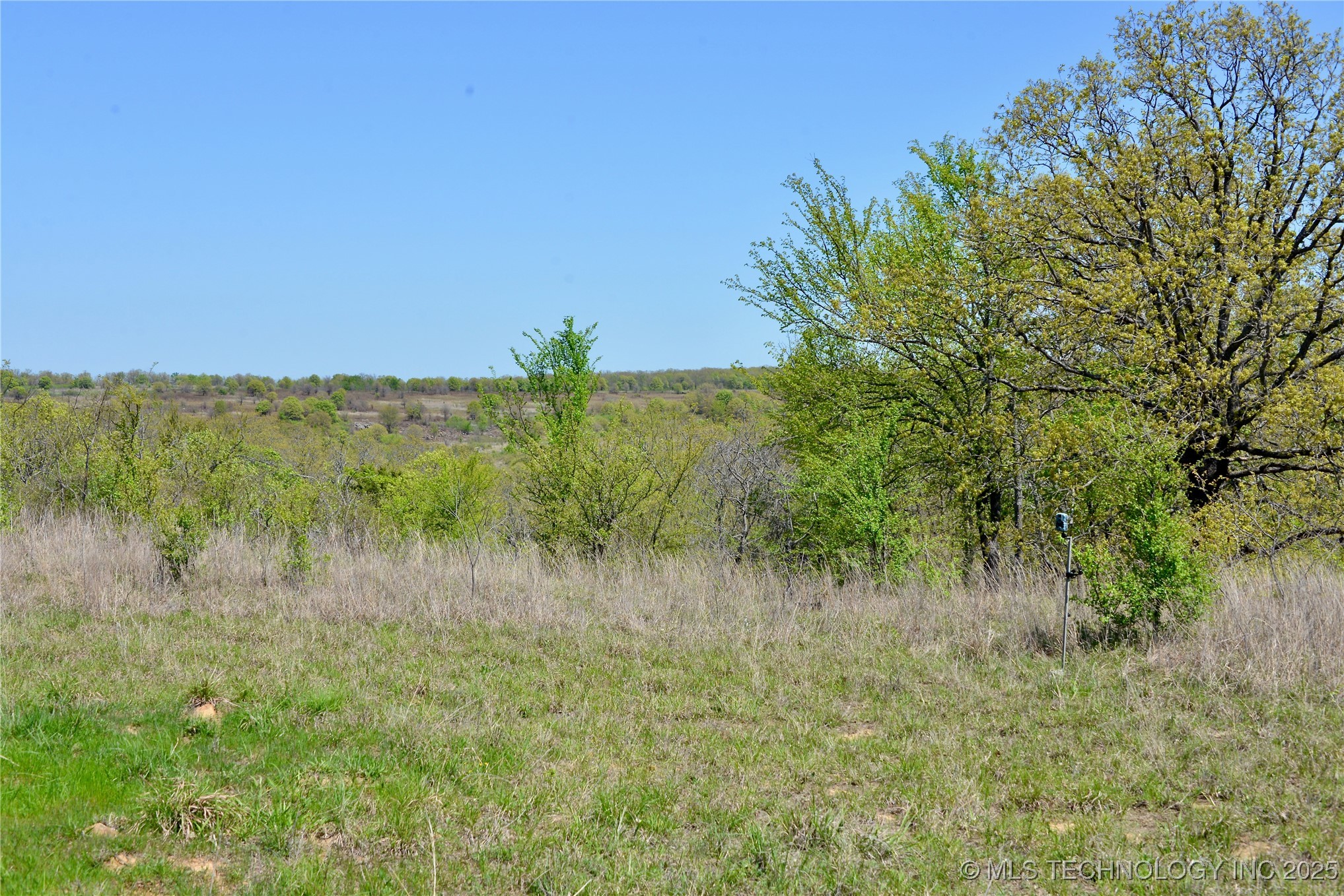 County Road 1170 Property Photo 12