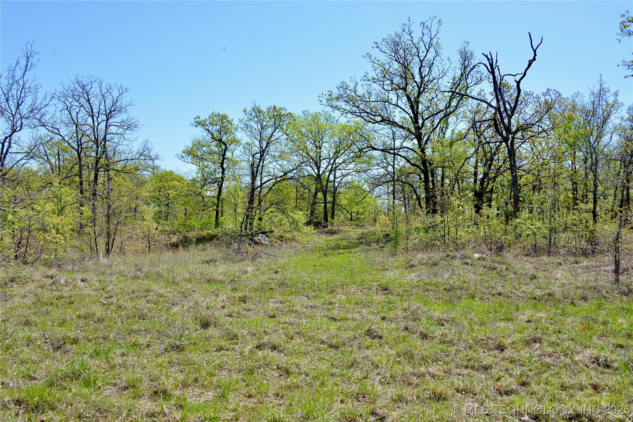 County Road 1170 Property Photo 13