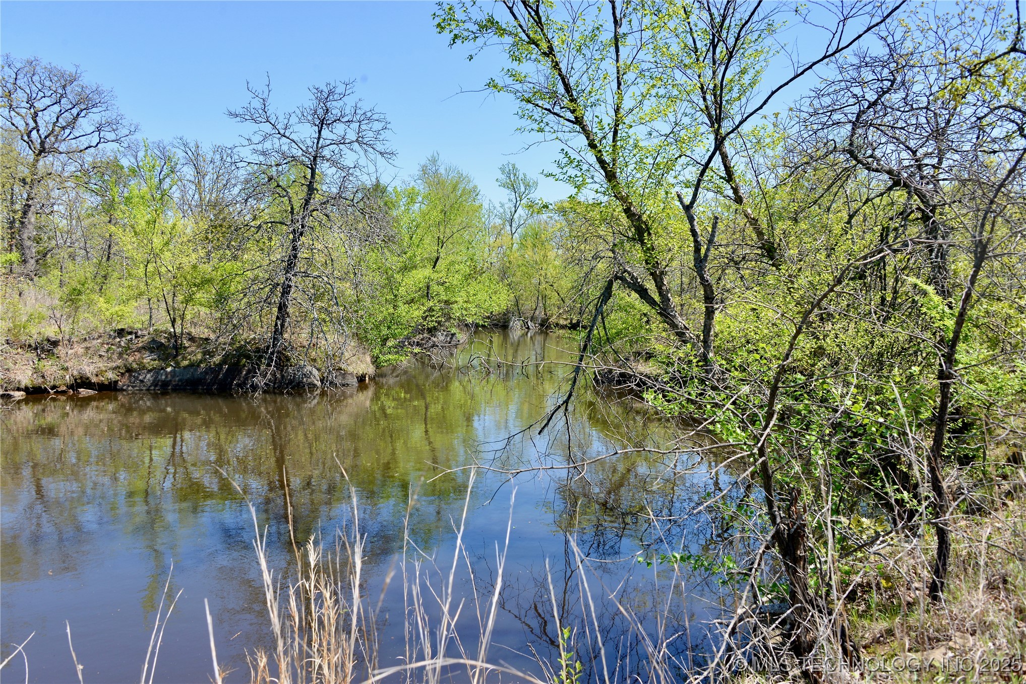 County Road 1170 Property Photo 14