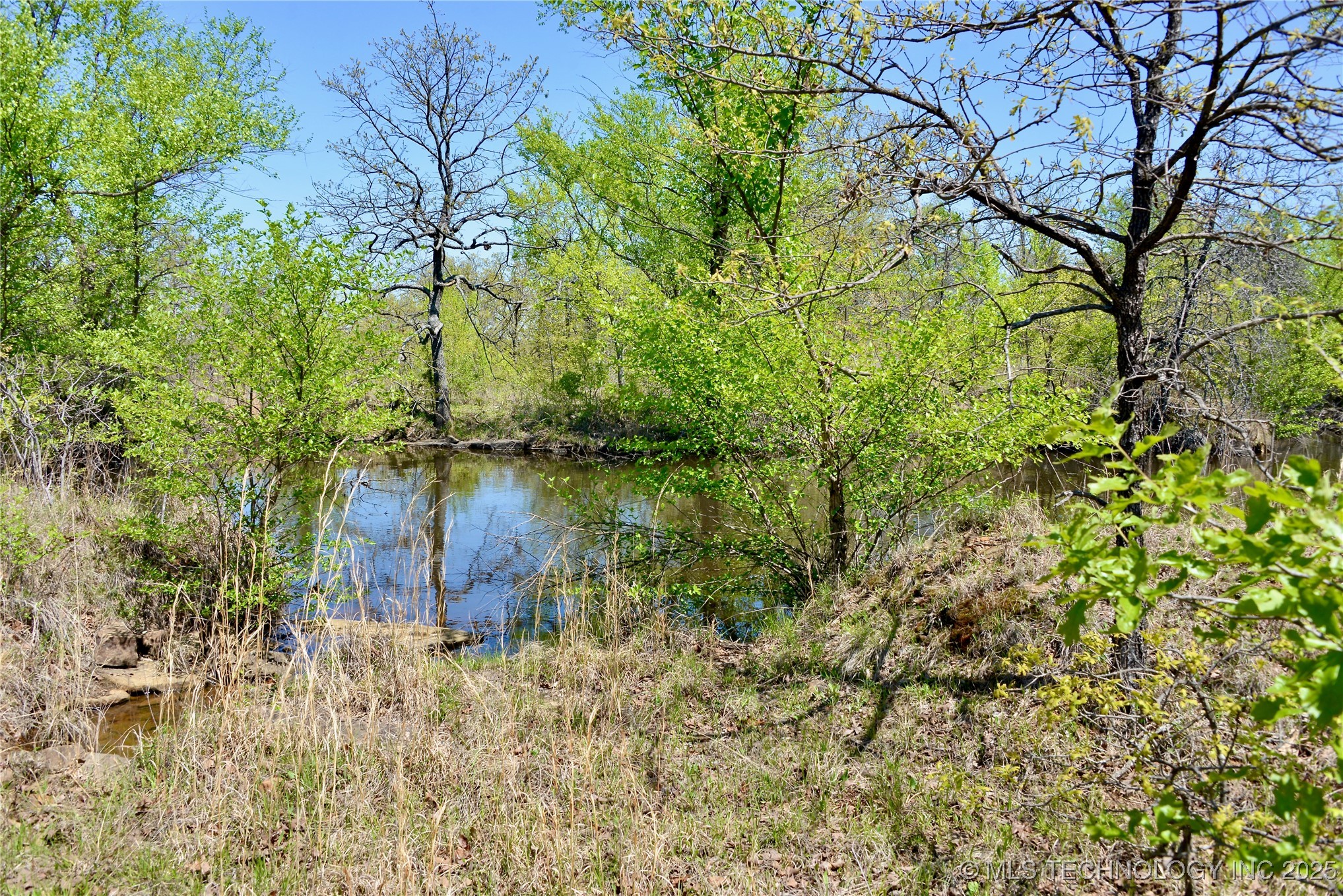 County Road 1170 Property Photo 15