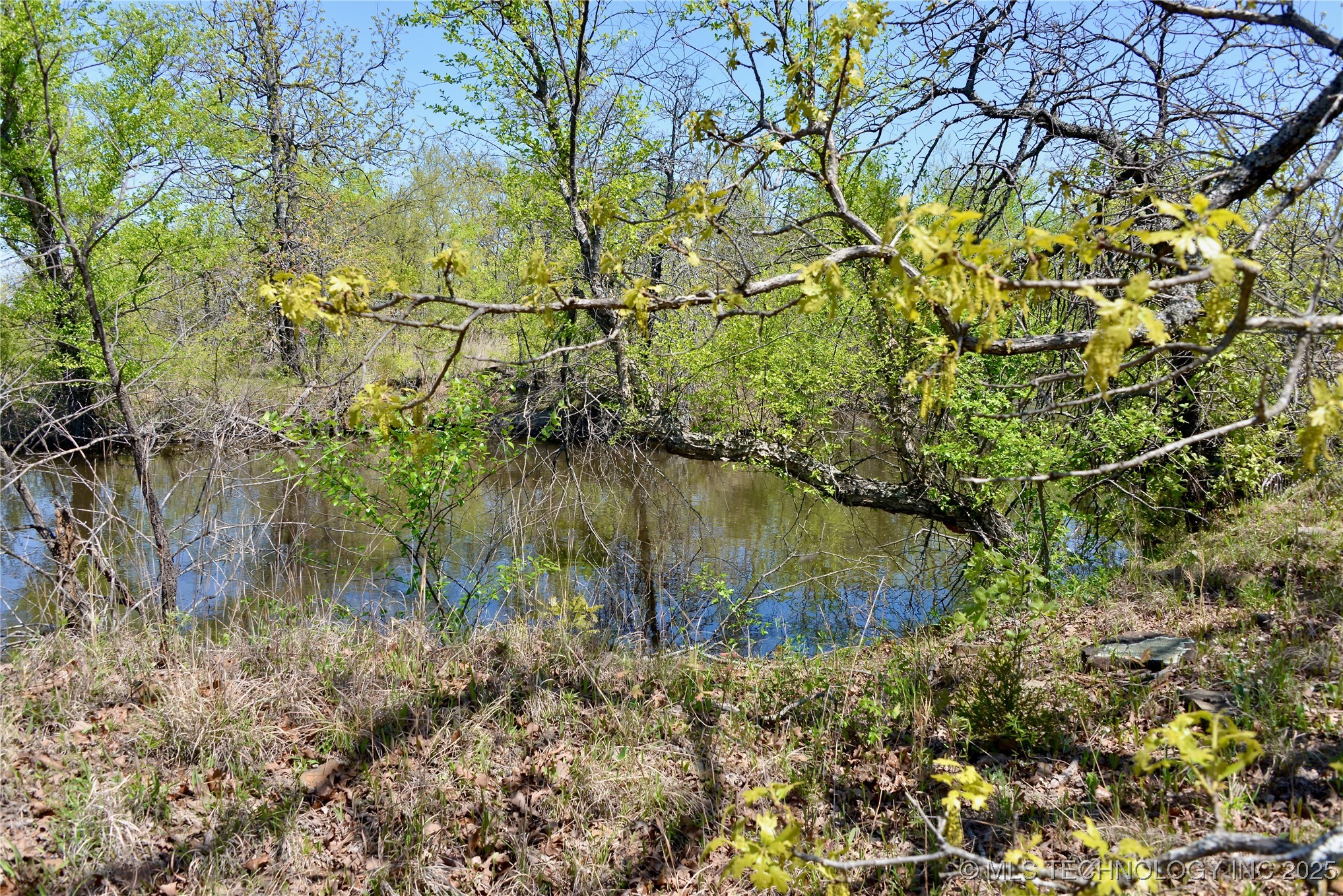 County Road 1170 Property Photo 16