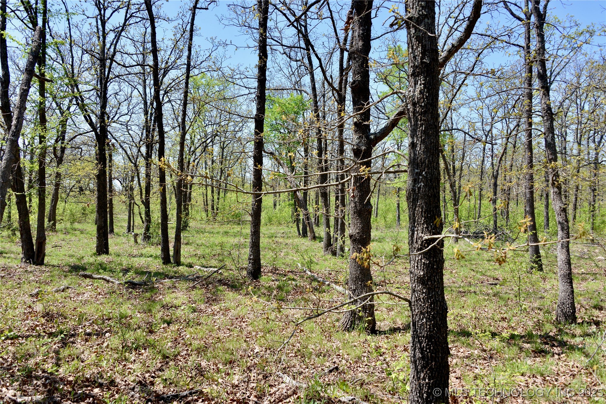 County Road 1170 Property Photo 17
