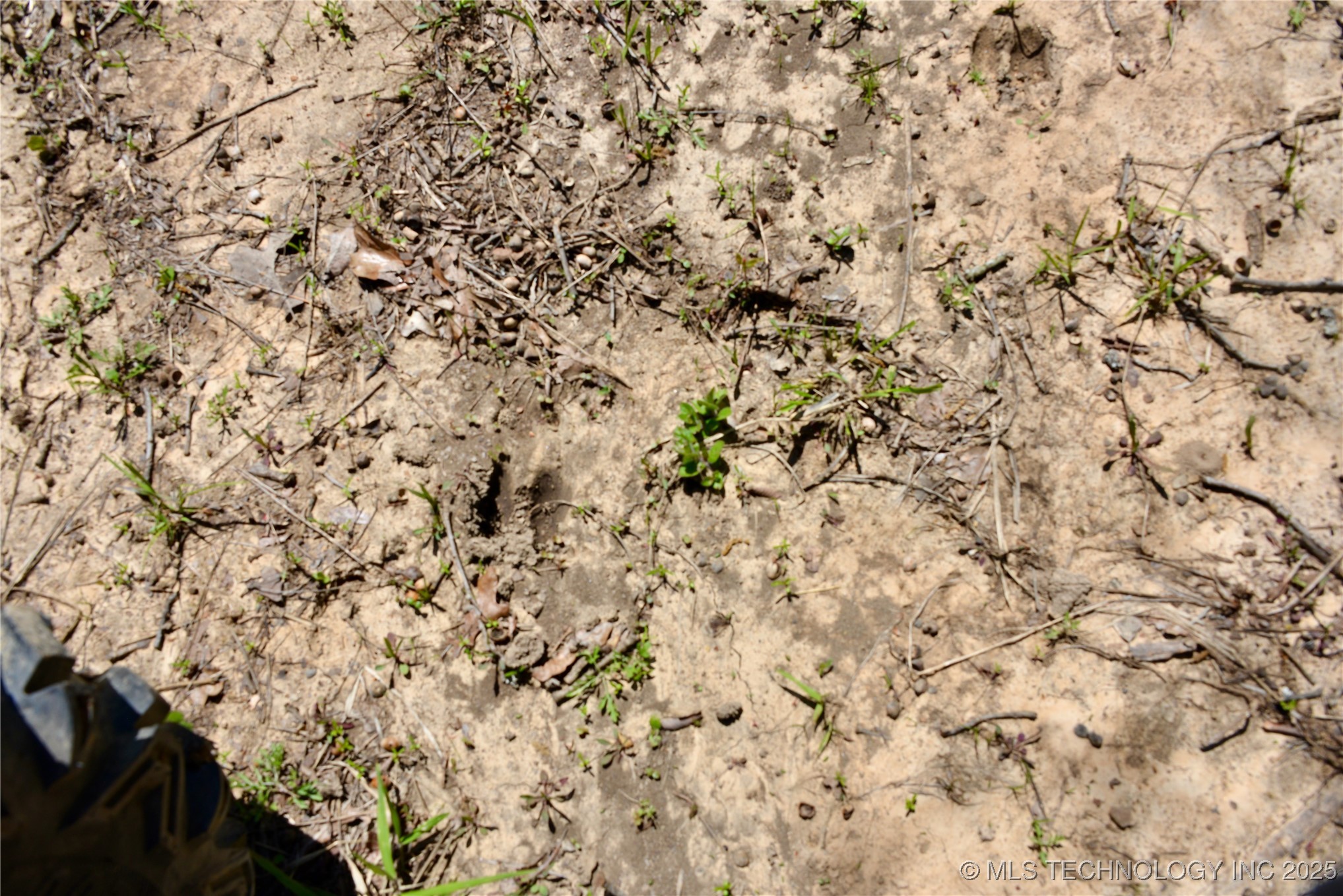 County Road 1170 Property Photo 18