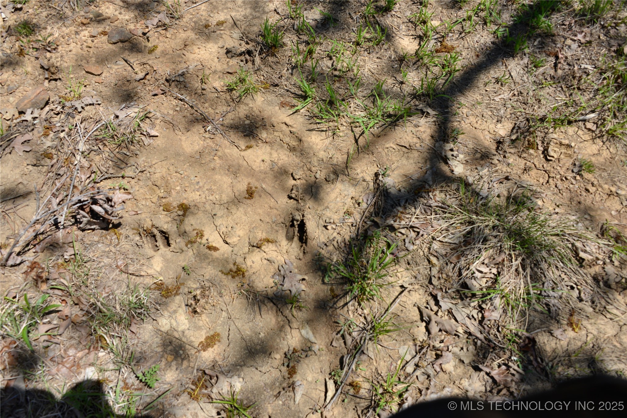 County Road 1170 Property Photo 19