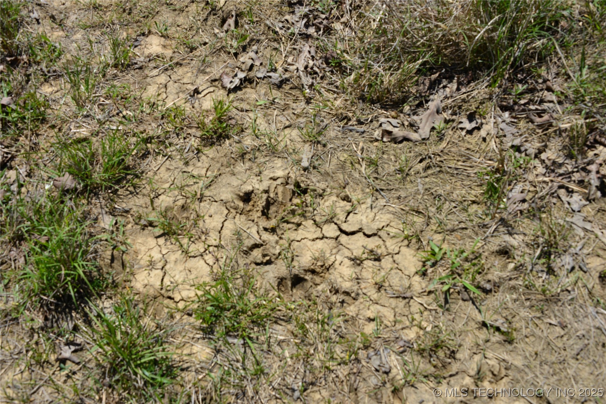 County Road 1170 Property Photo 20