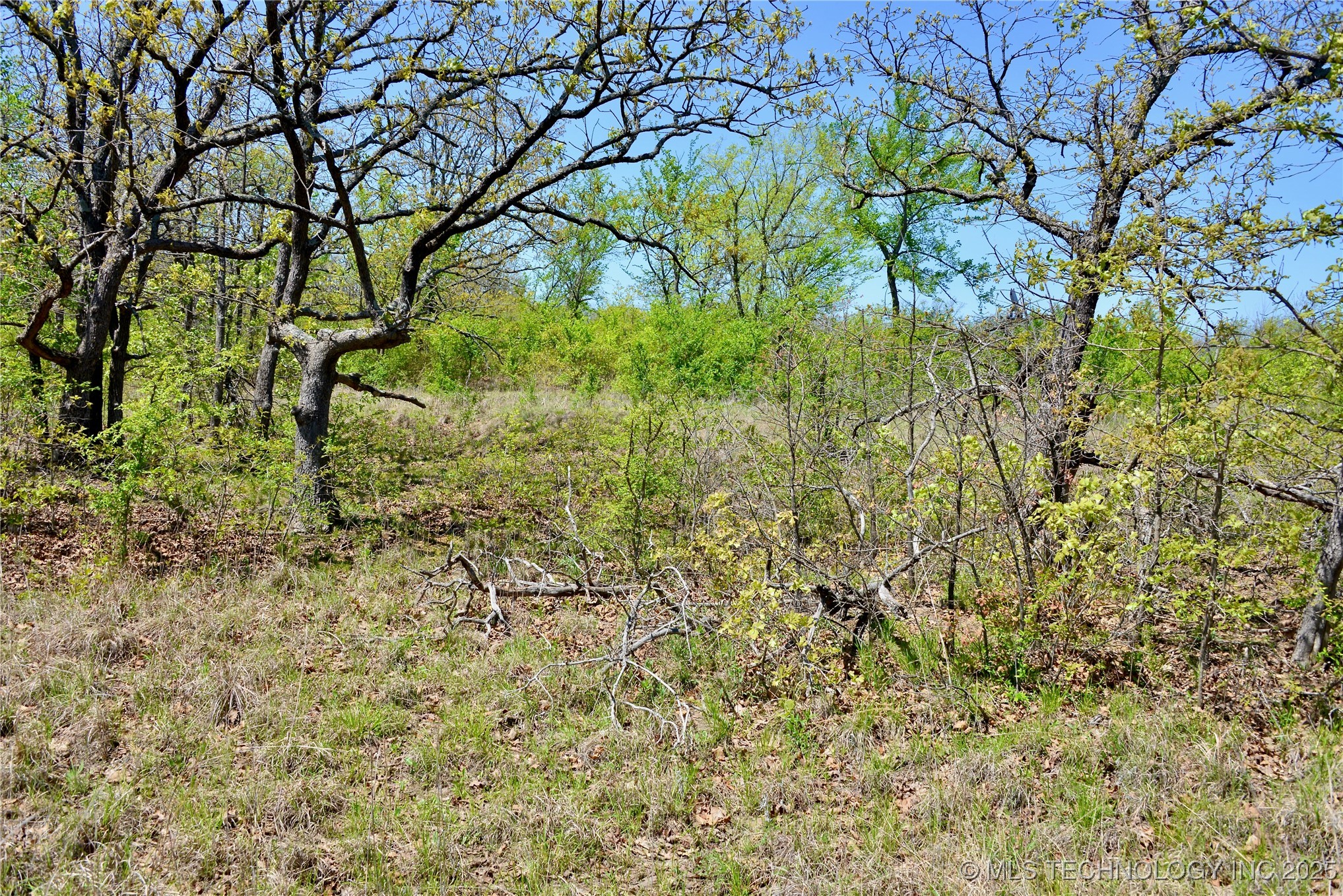 County Road 1170 Property Photo 21