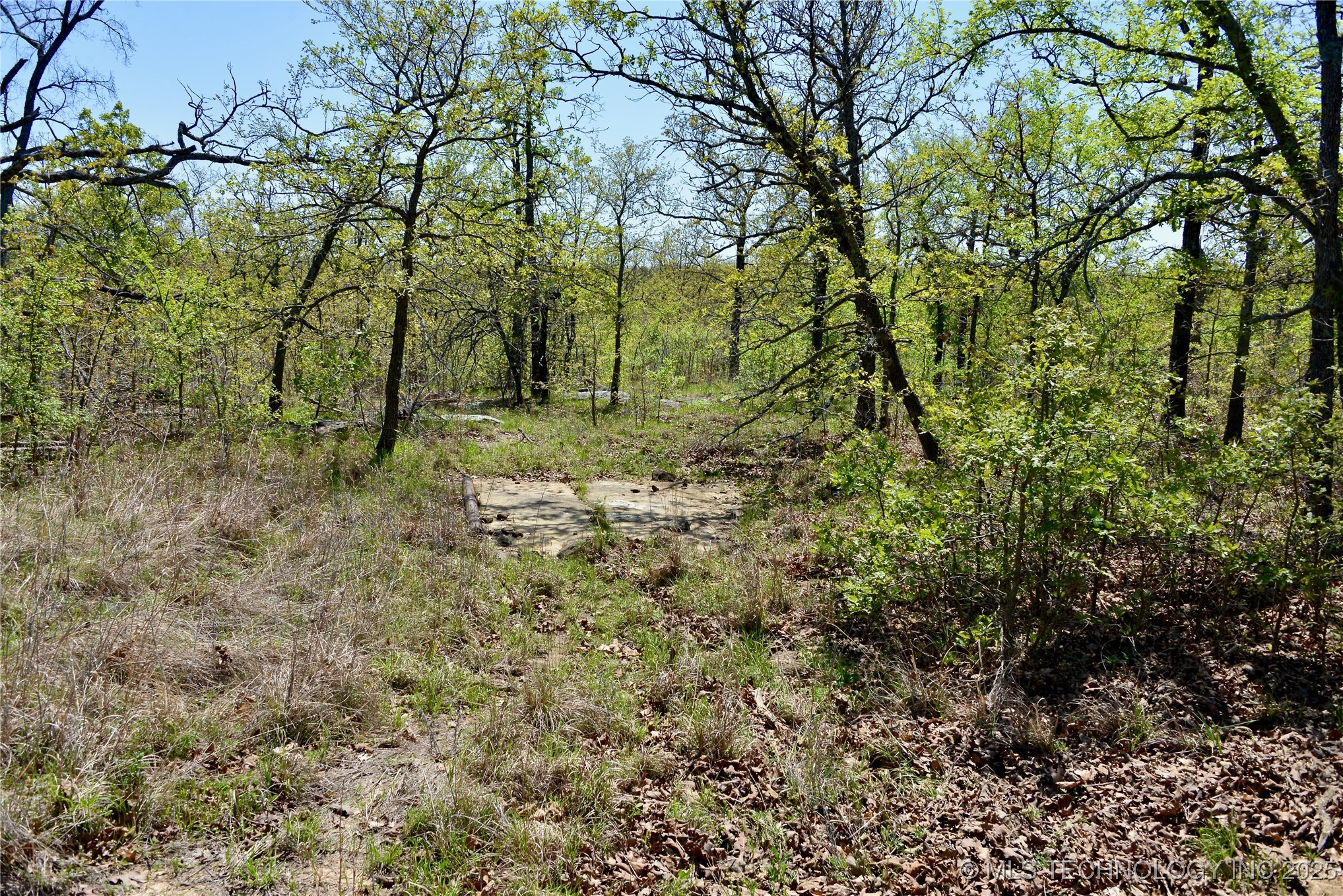 County Road 1170 Property Photo 22