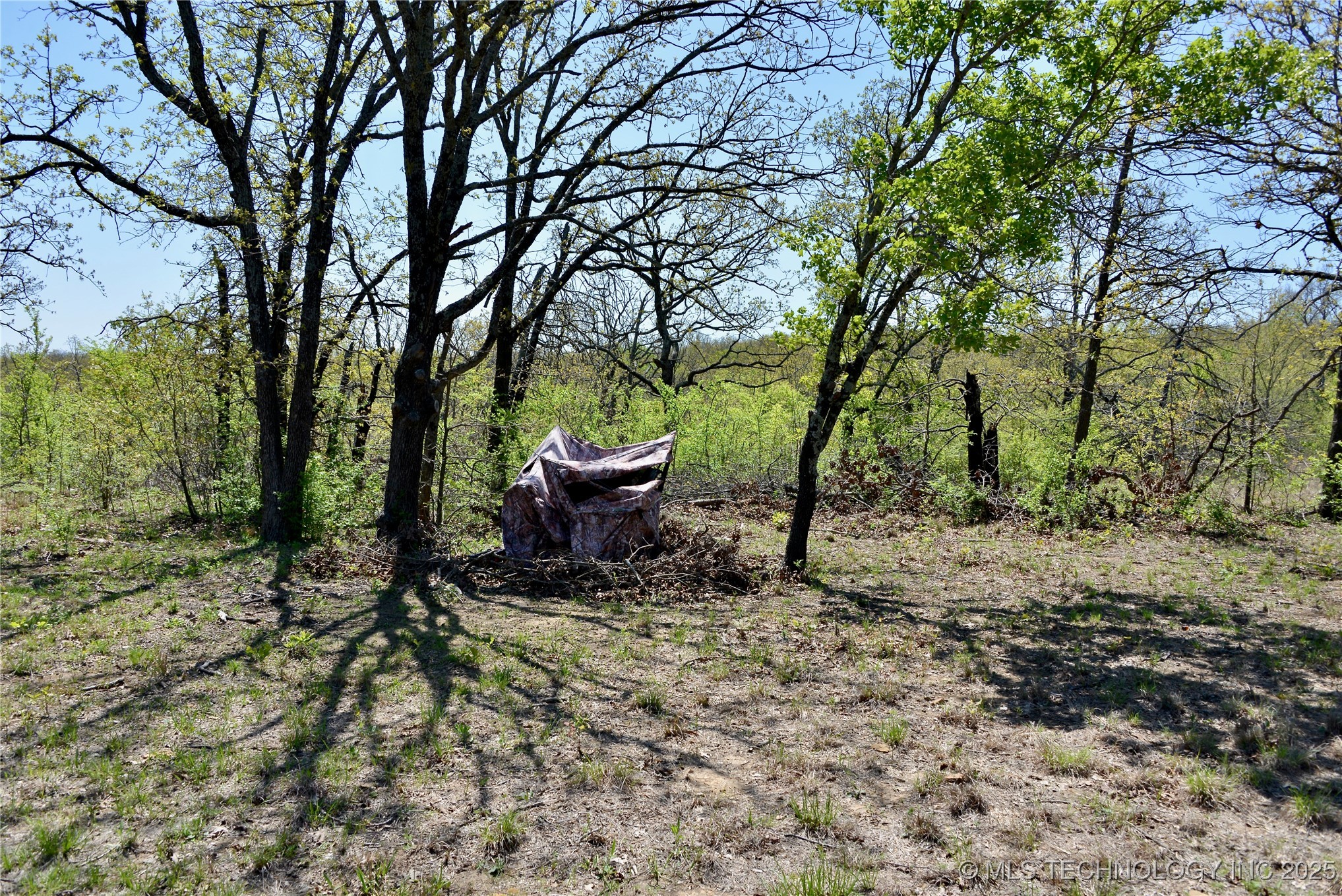 County Road 1170 Property Photo 23