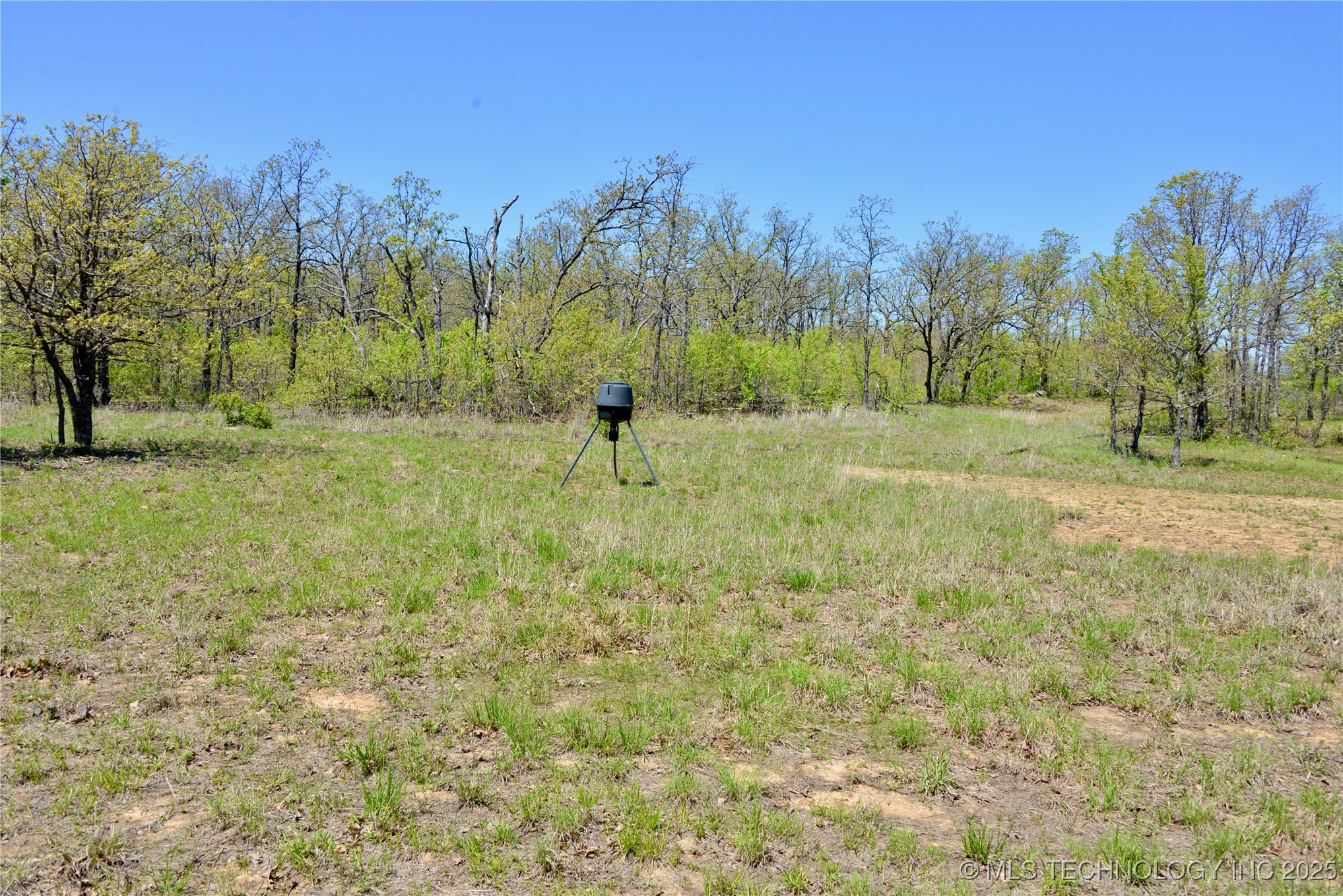 County Road 1170 Property Photo 24