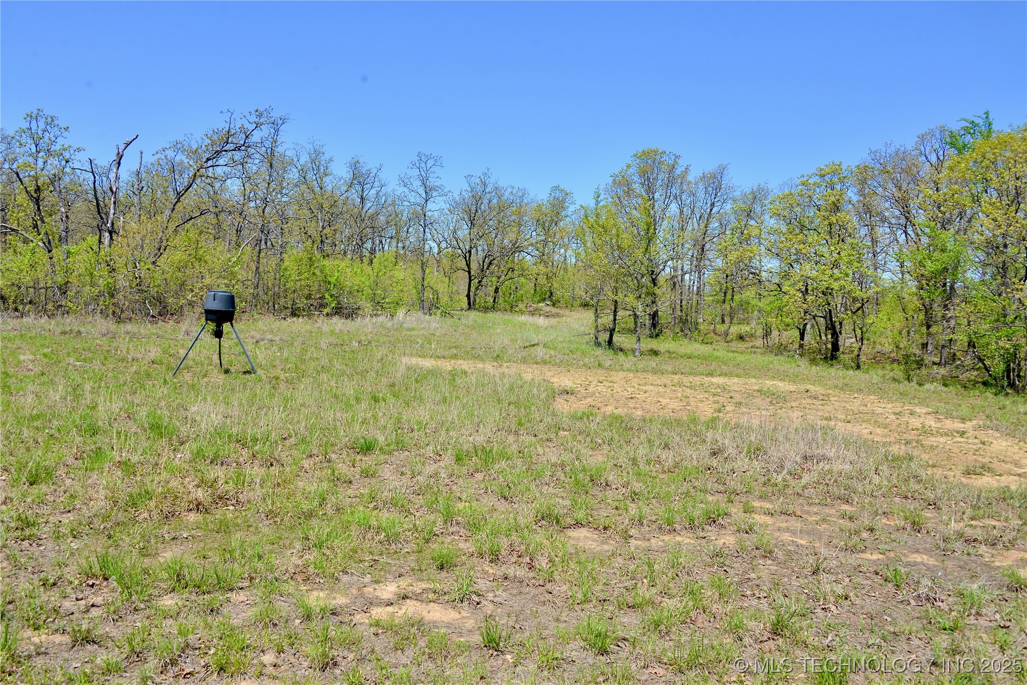 County Road 1170 Property Photo 25