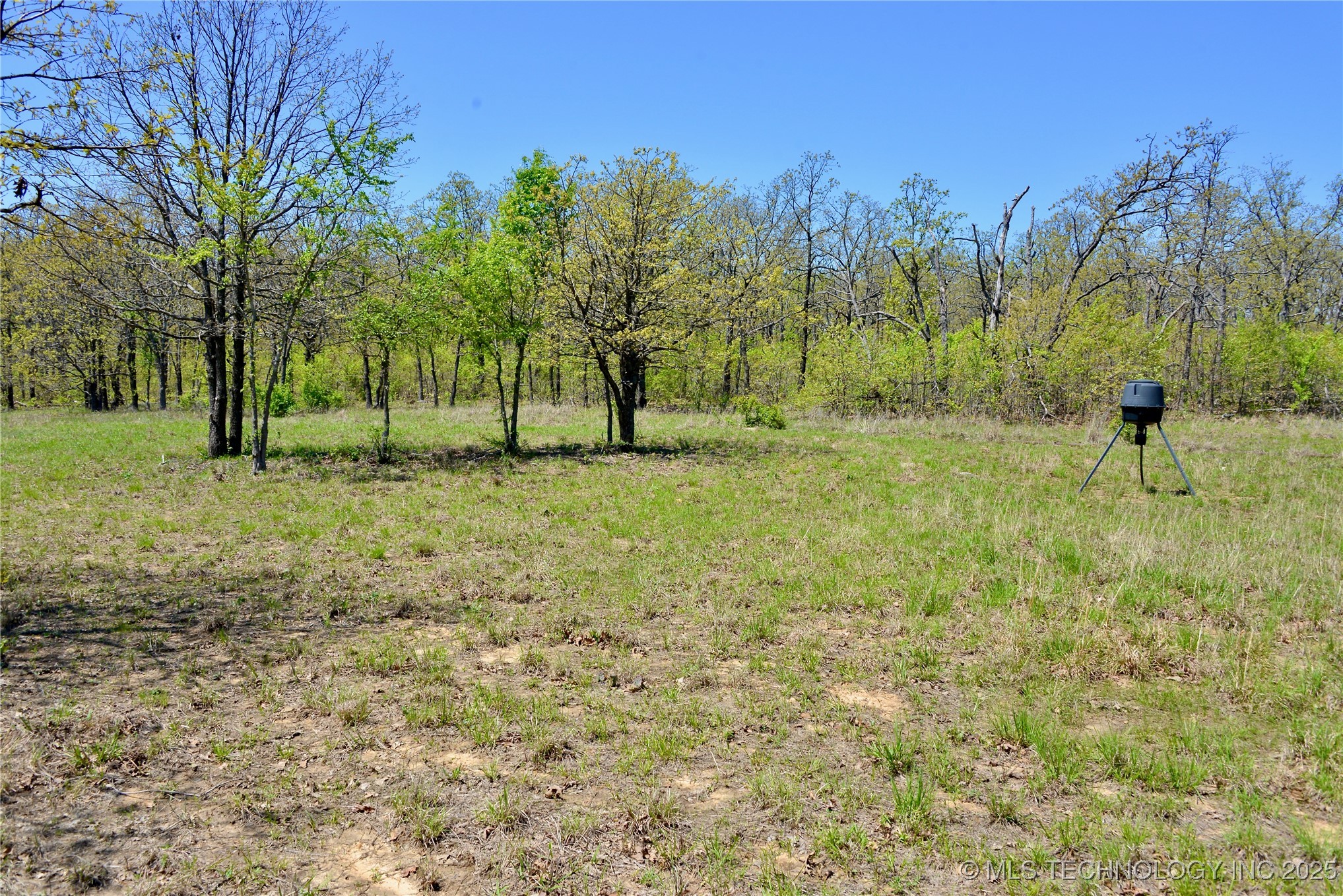 County Road 1170 Property Photo 26