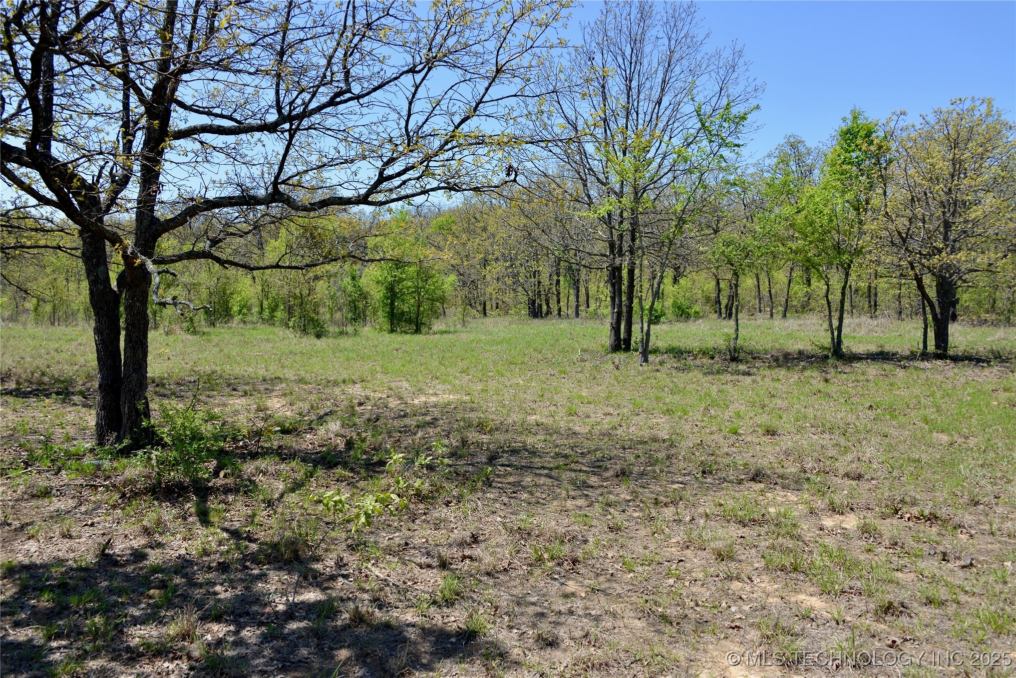 County Road 1170 Property Photo 27