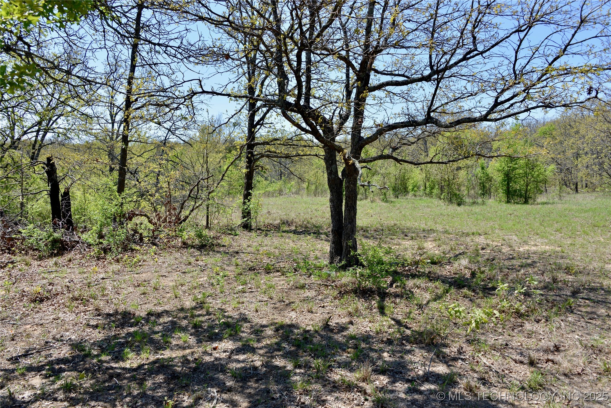County Road 1170 Property Photo 28