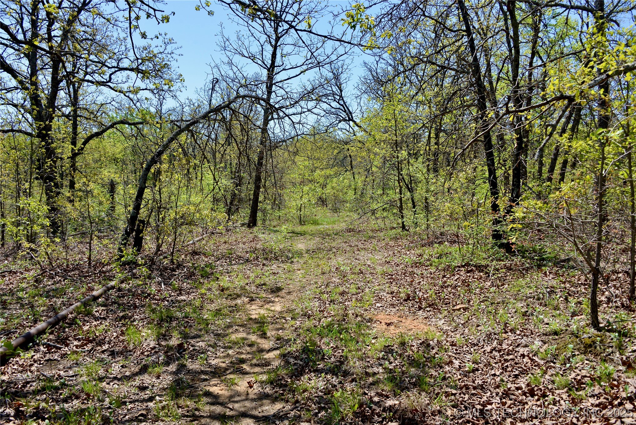 County Road 1170 Property Photo 29