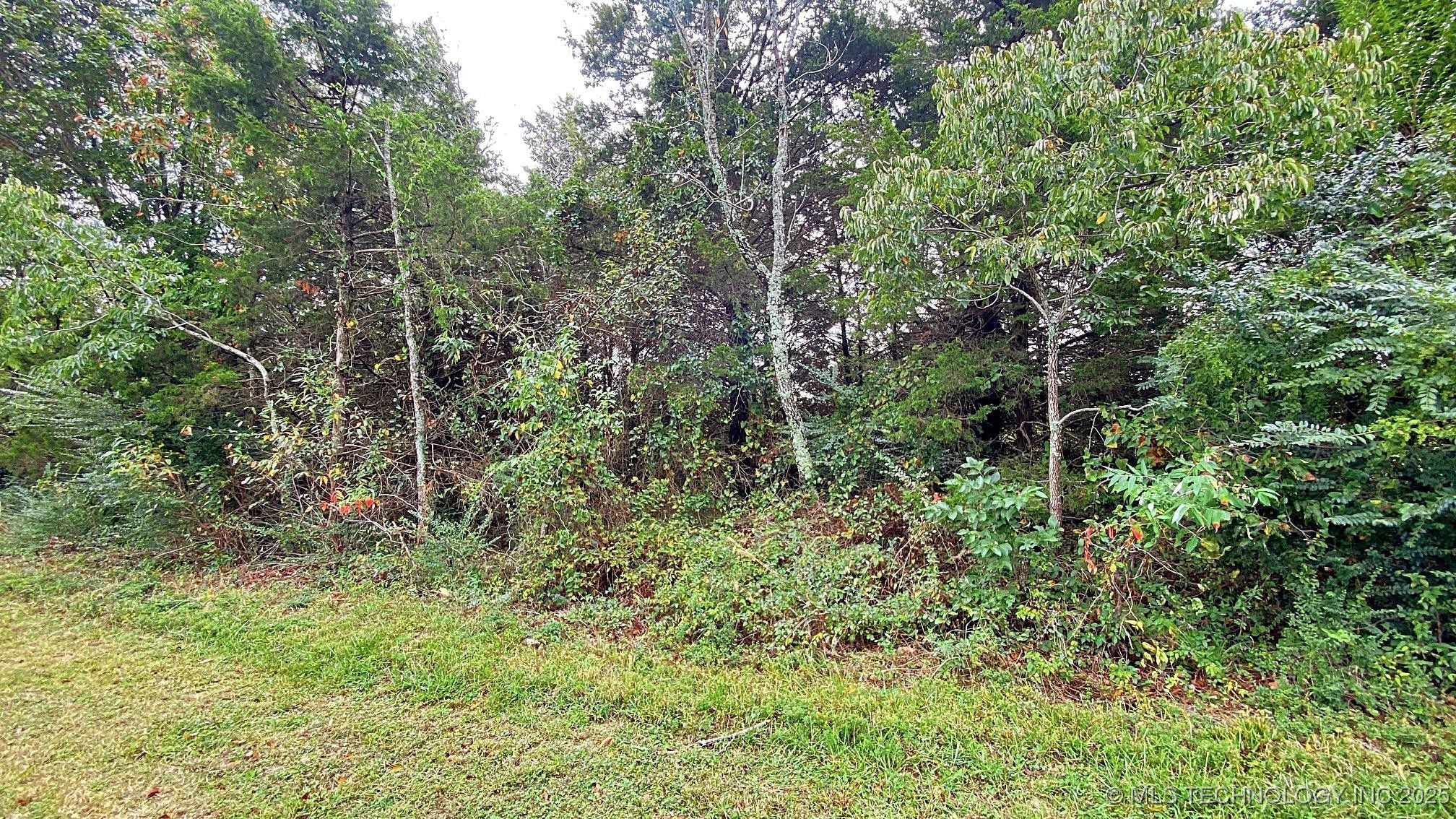 481 Terry Street Property Photo 3