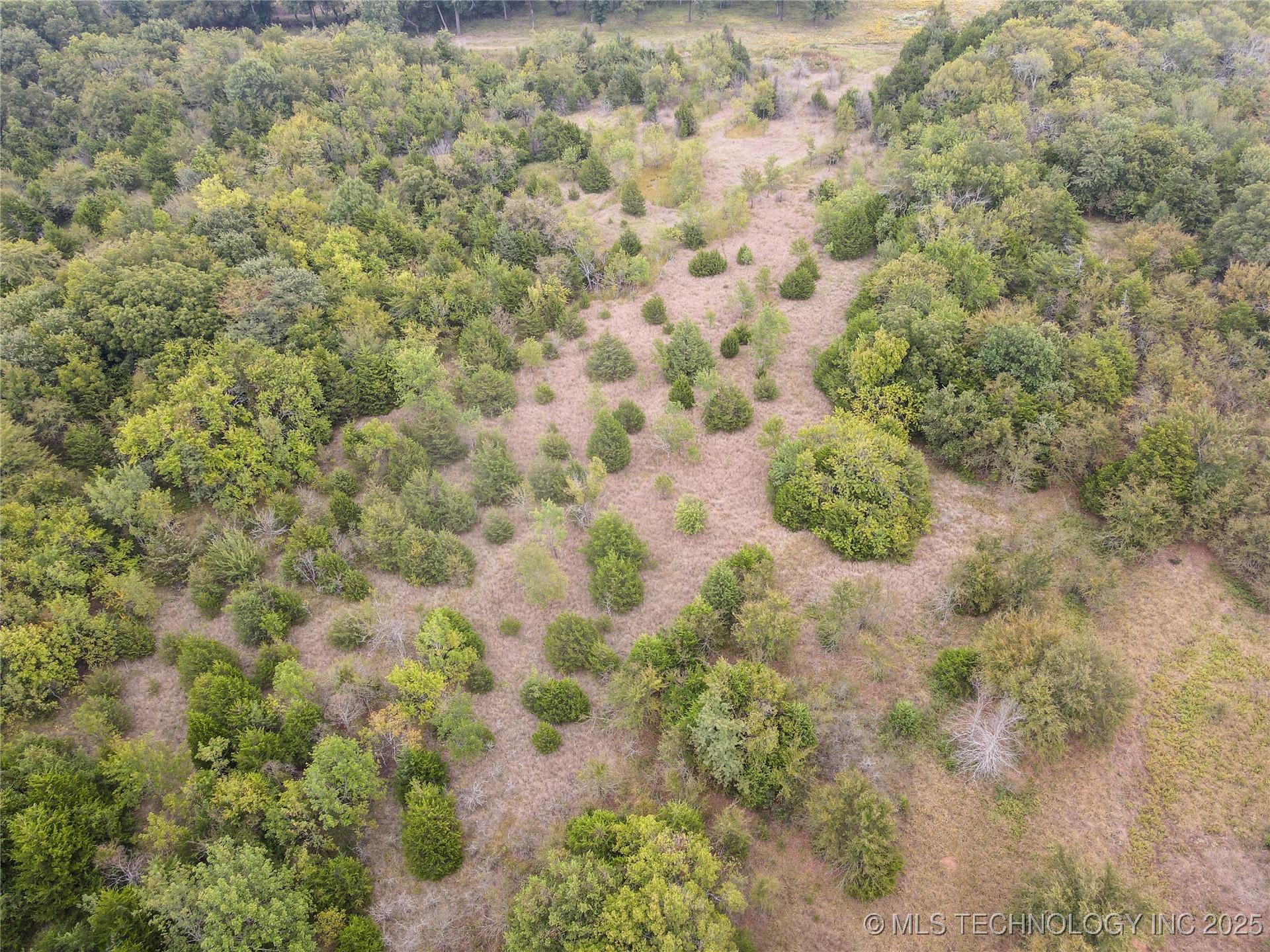 E Blue Springs Road Property Photo 8