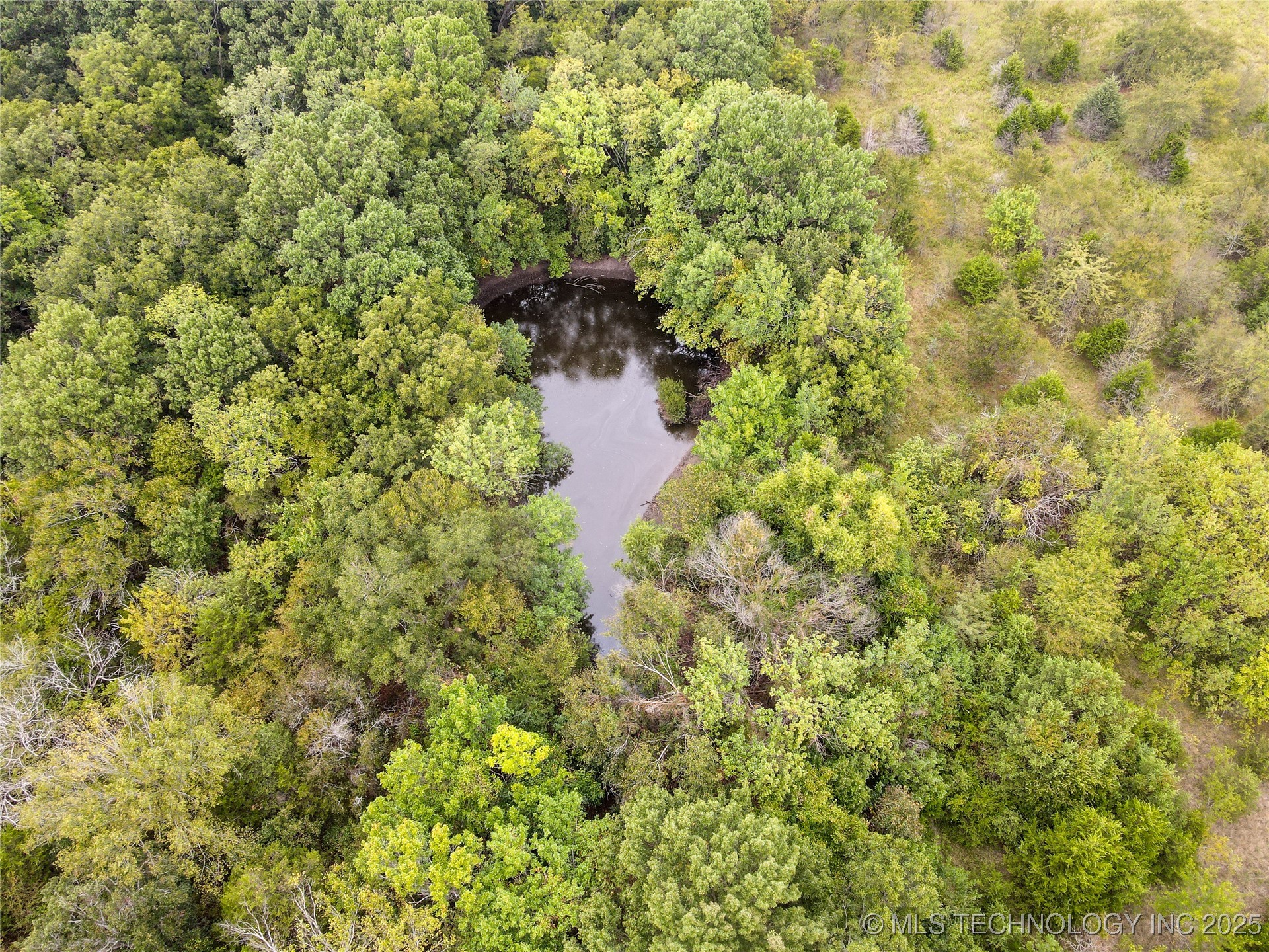 E Blue Springs Road Property Photo 9
