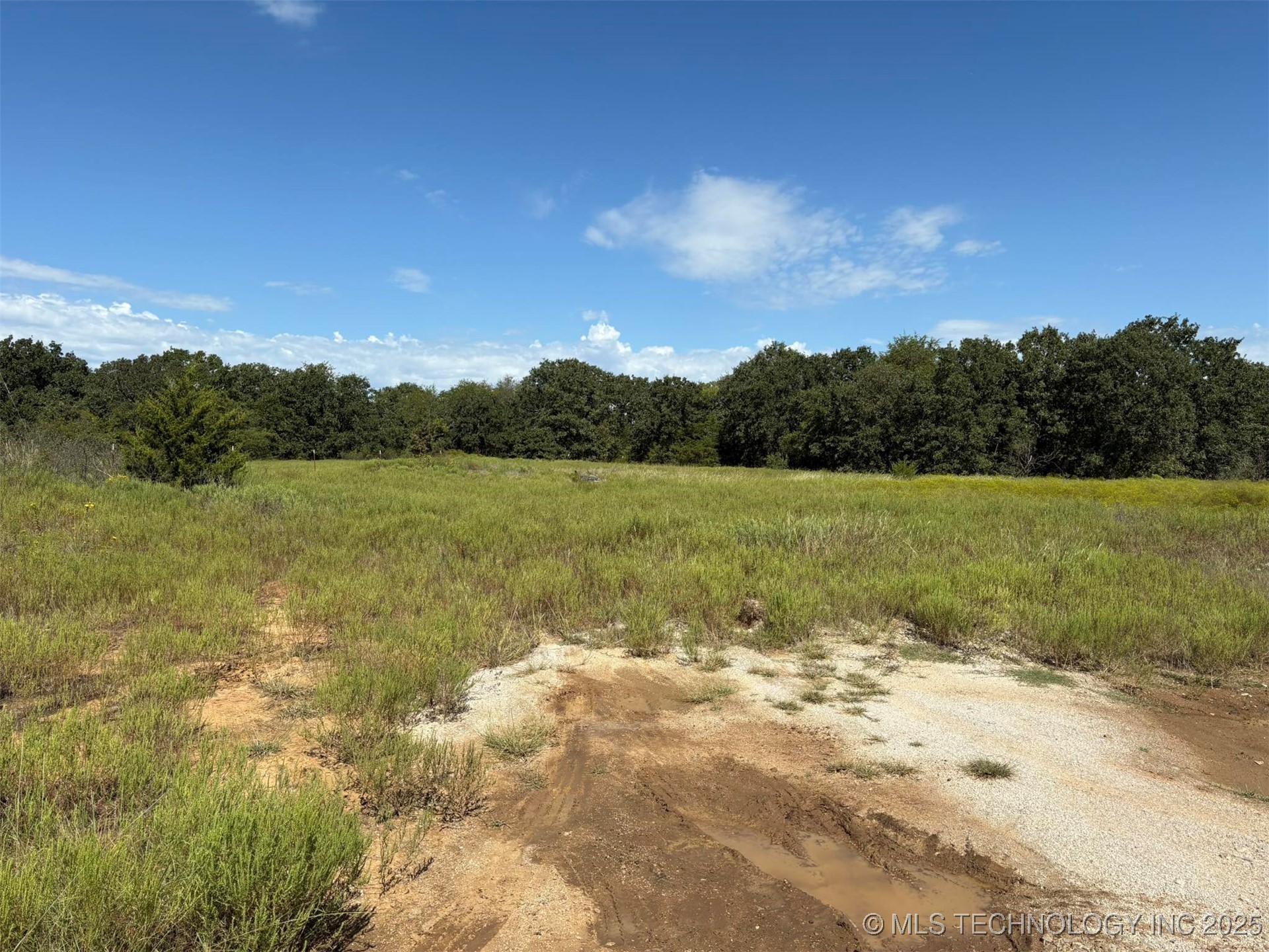 3150 Mobile Road Property Photo 3