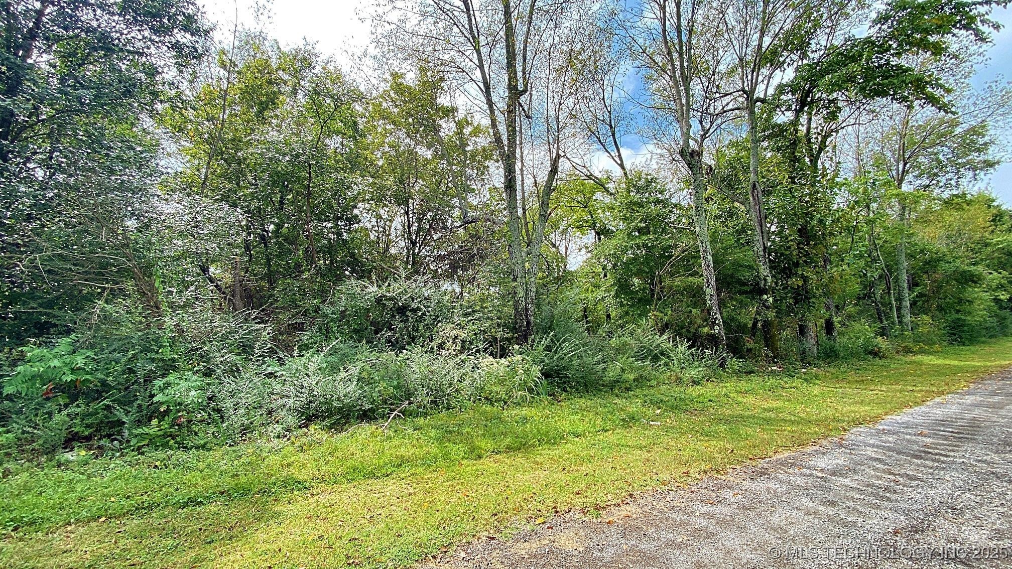 461 Terry Street Property Photo 2