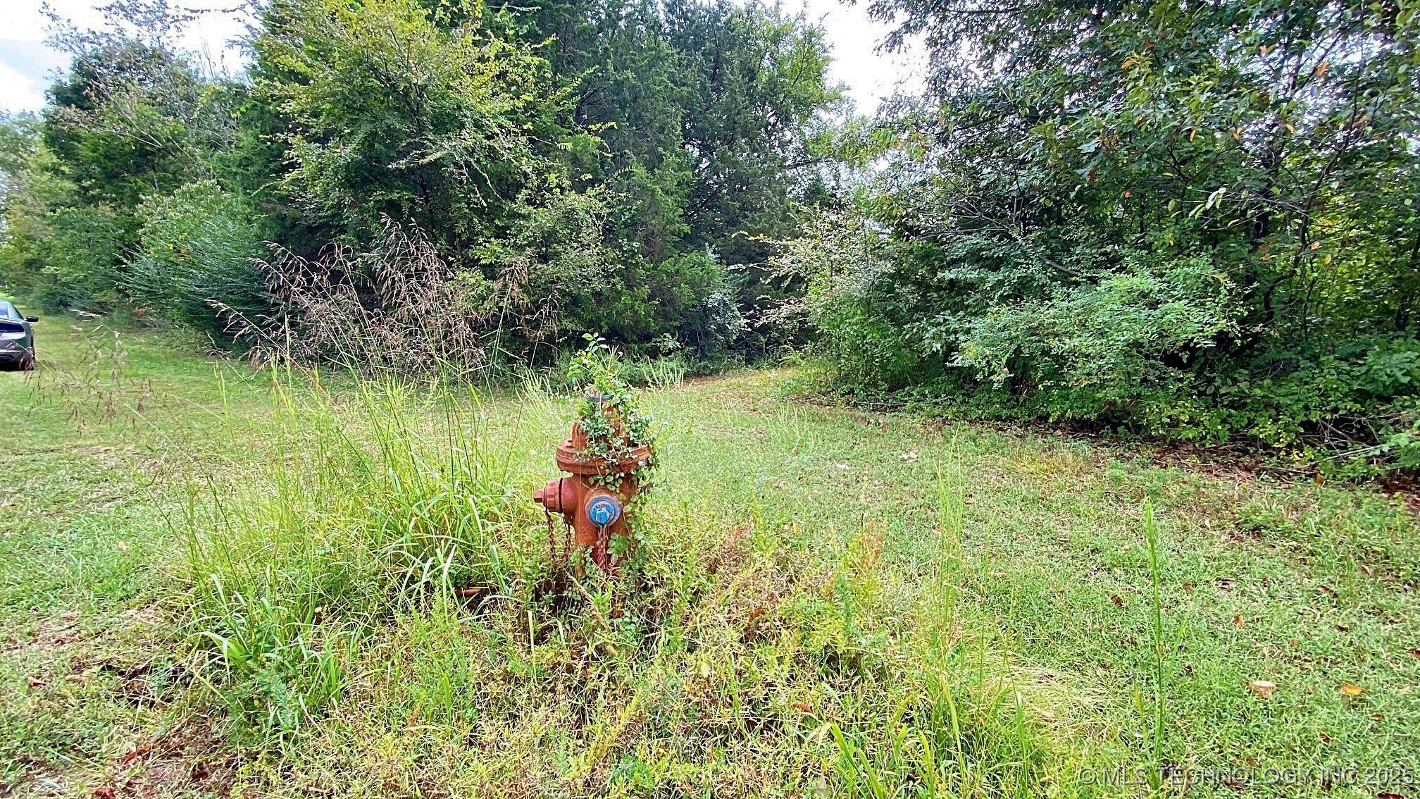 461 Terry Street Property Photo 4