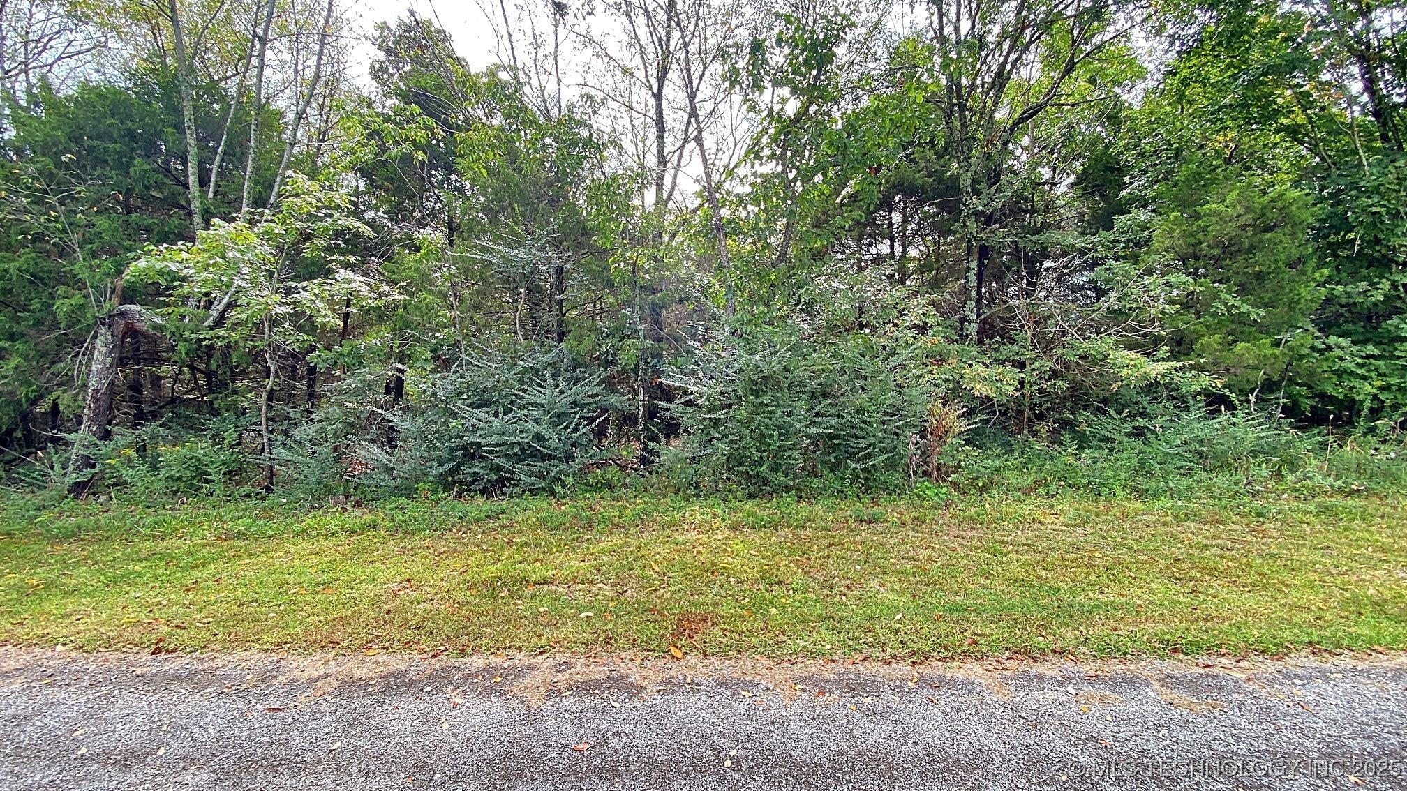 481 Terry Street Property Photo 2