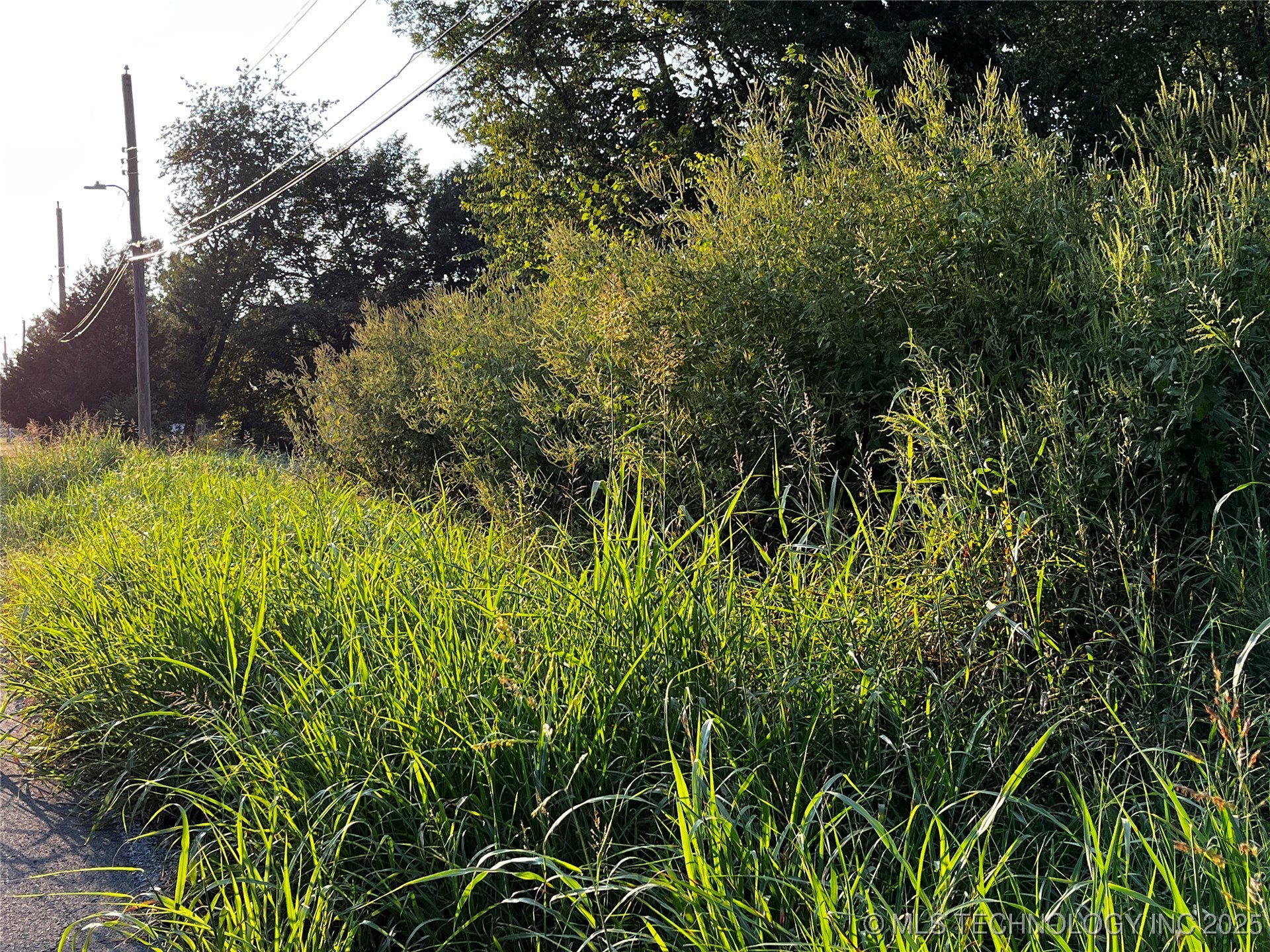 W Dixie Land Avenue Property Photo 1