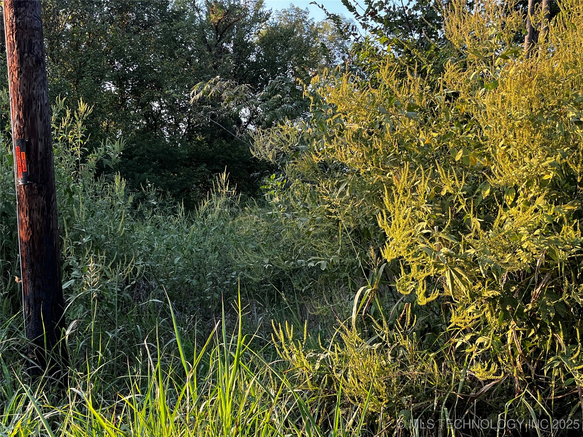 W Dixie Land Avenue Property Photo 2