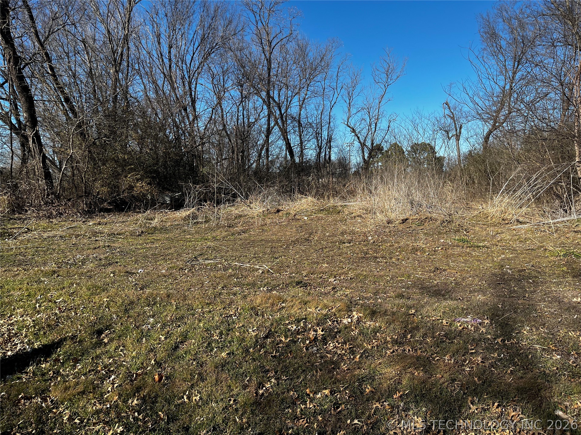 W Dixie Land Avenue Property Photo 4