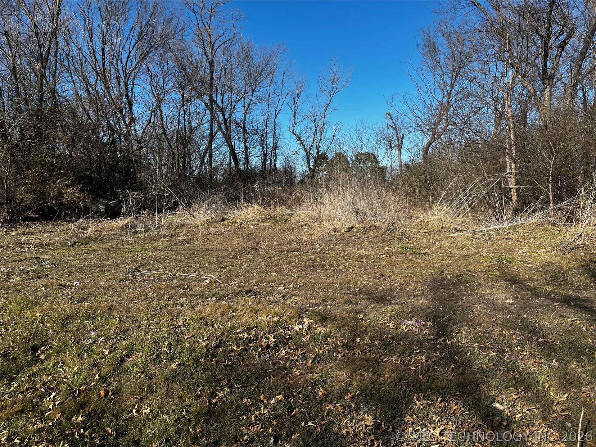 W Dixie Land Avenue Property Photo 5