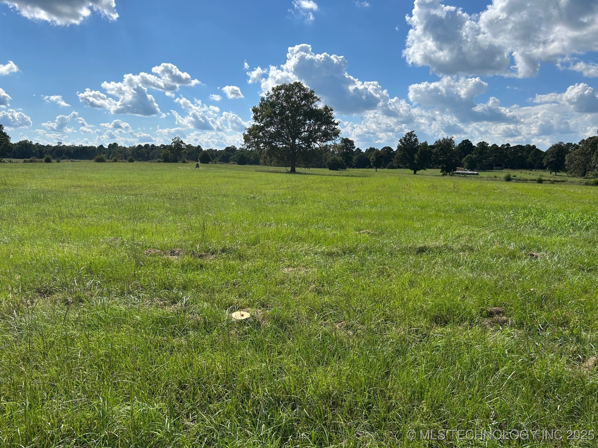 2540826 Property Photo 1