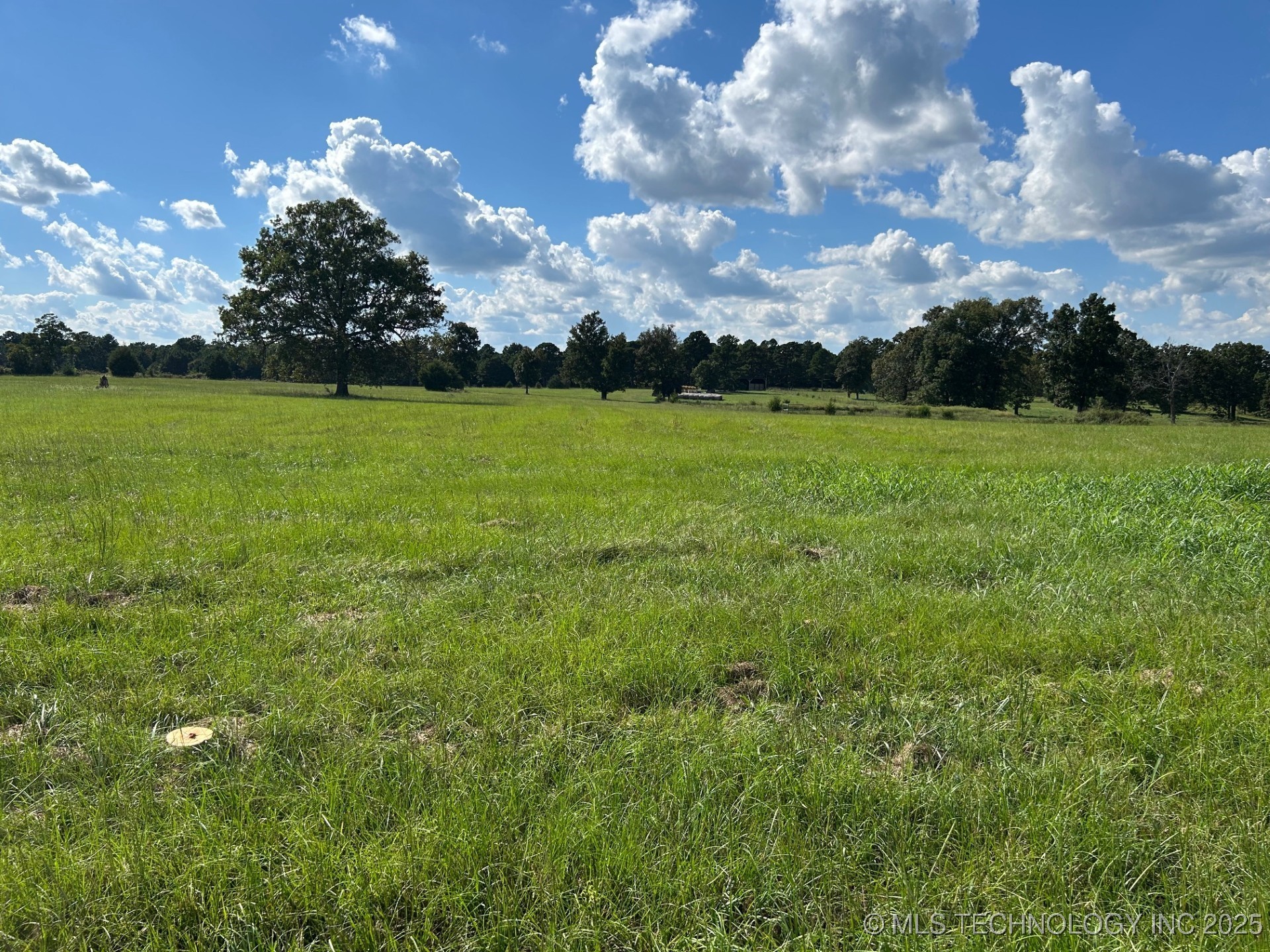 2540826 Property Photo 5