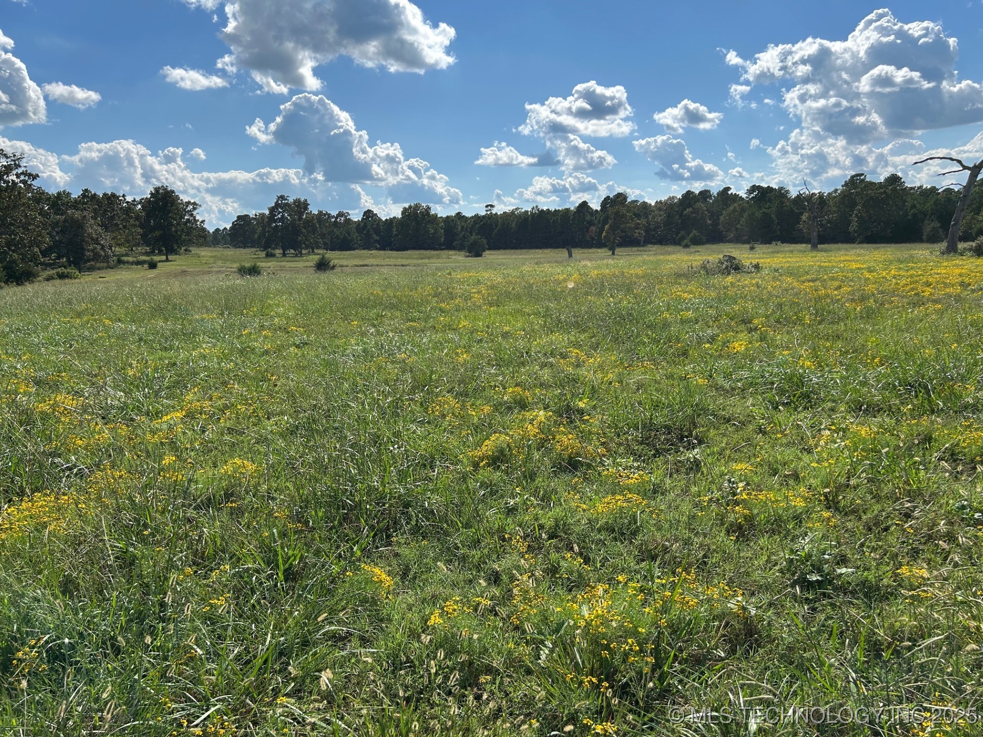 2540826 Property Photo 8