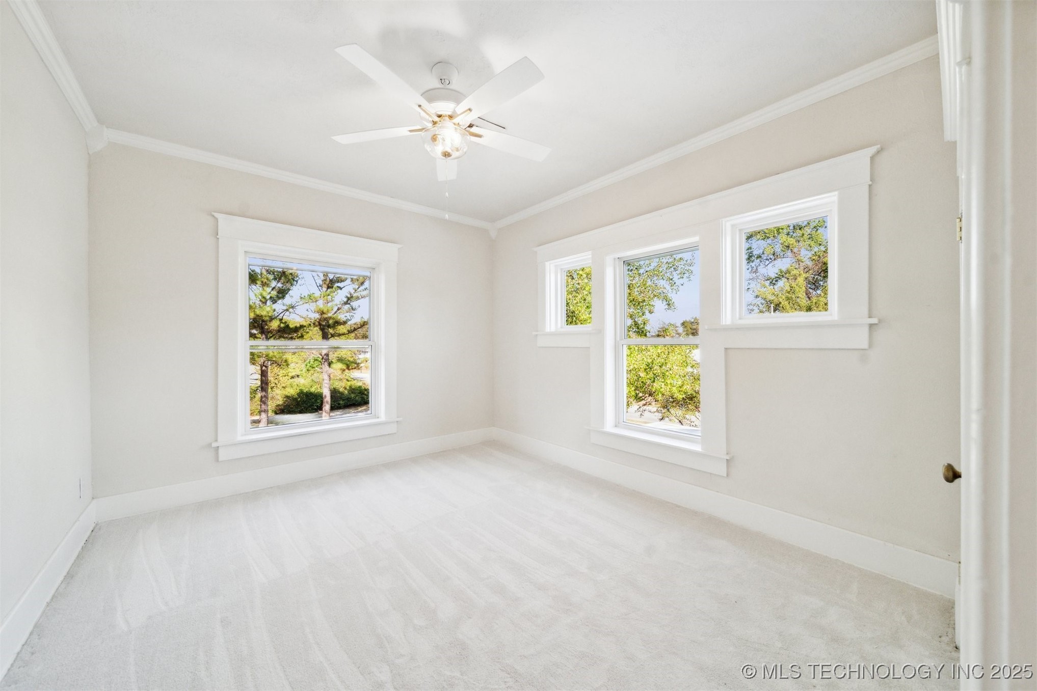 806 E Church Street Property Photo 30