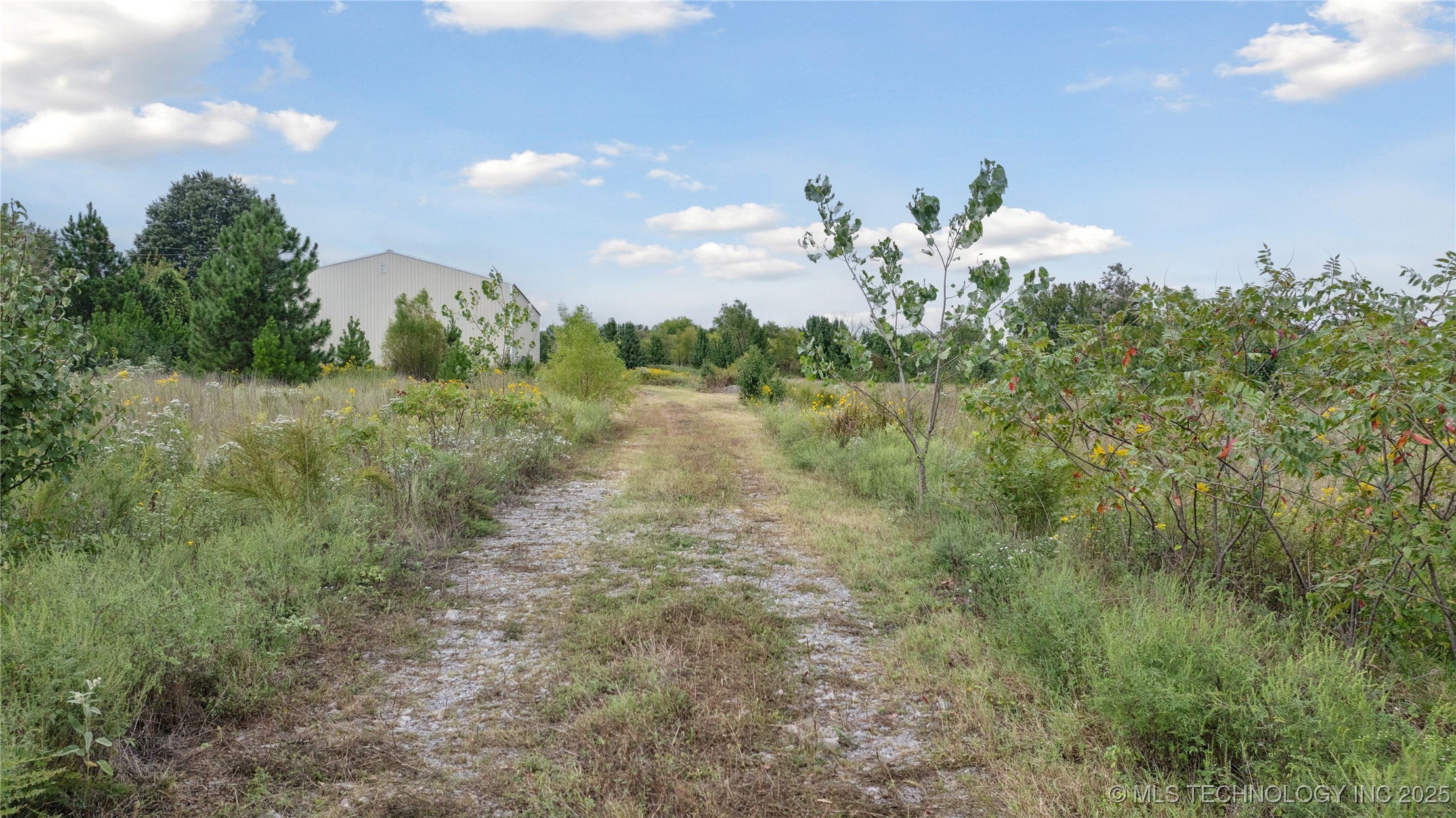 8450 Fern Mountain Road Property Photo 19