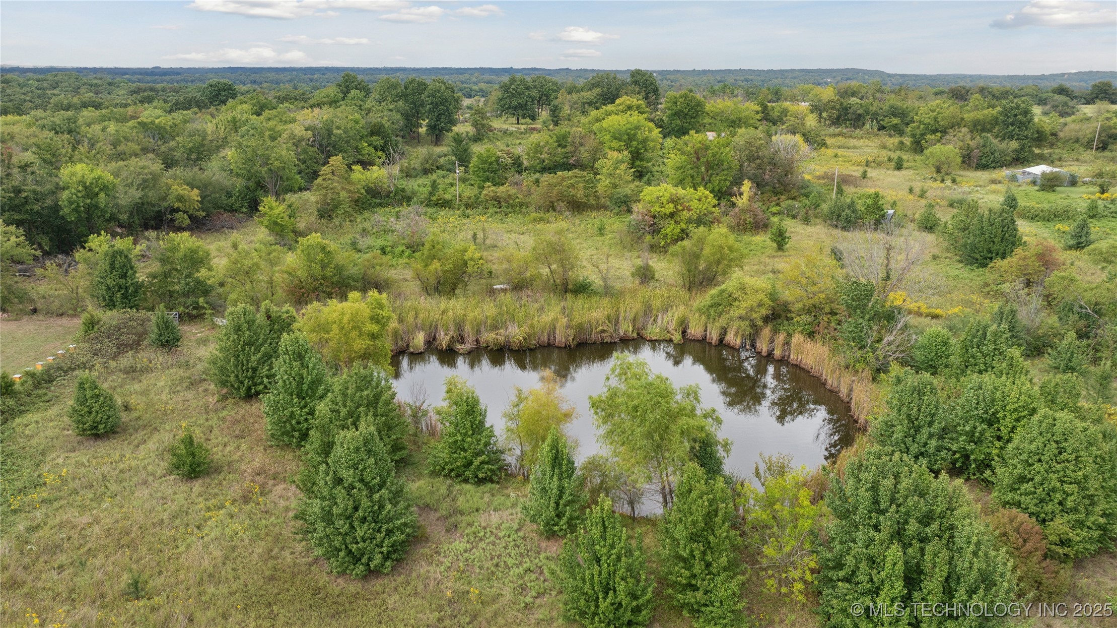 8450 Fern Mountain Road Property Photo 24